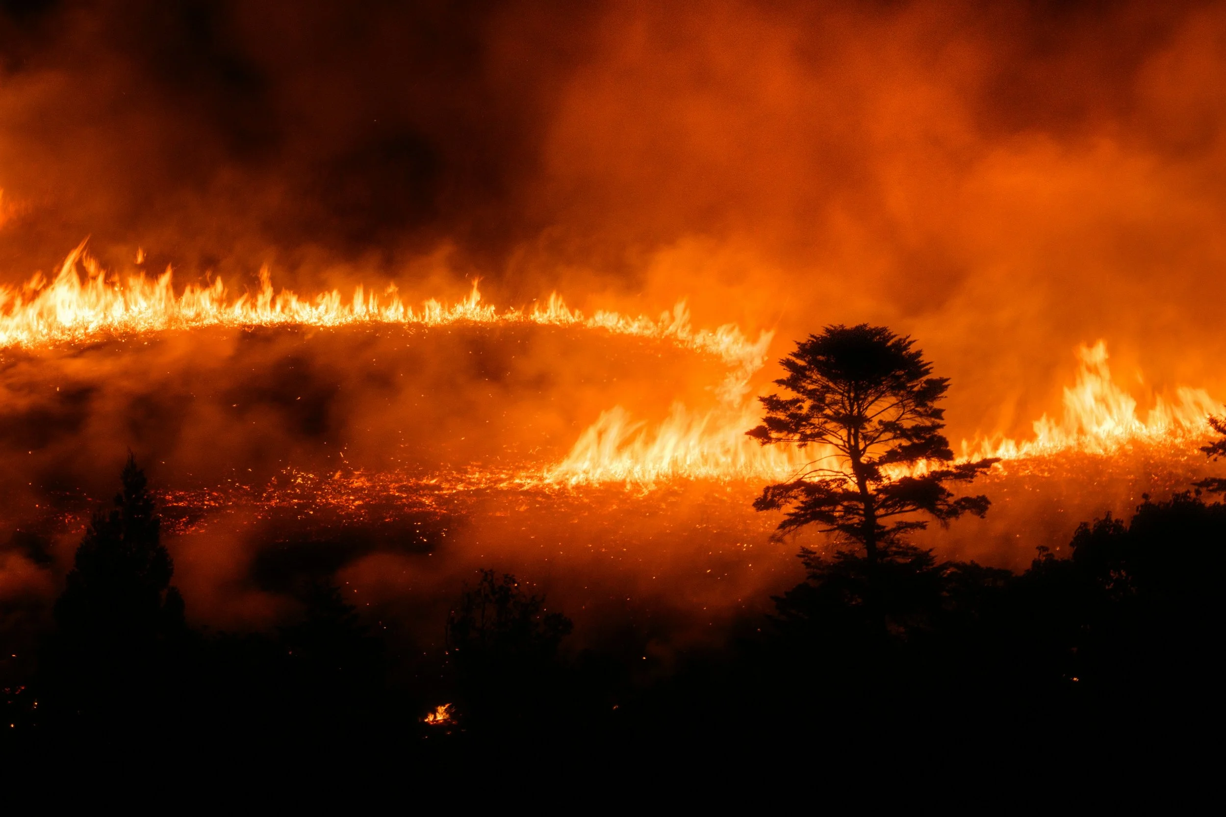 What Happens to a Landscape After a Wildfire?