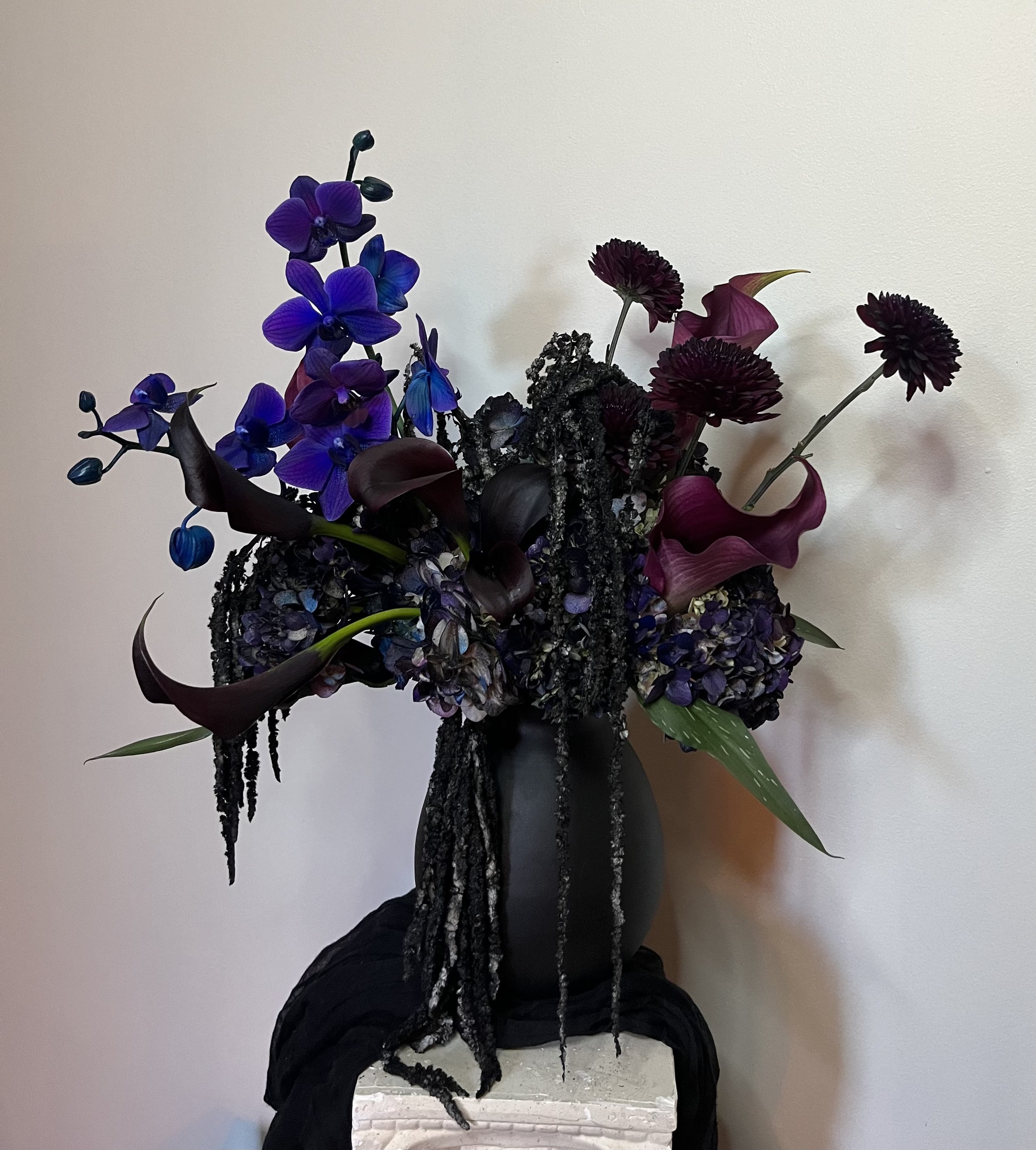 IMG_3724.jpeg