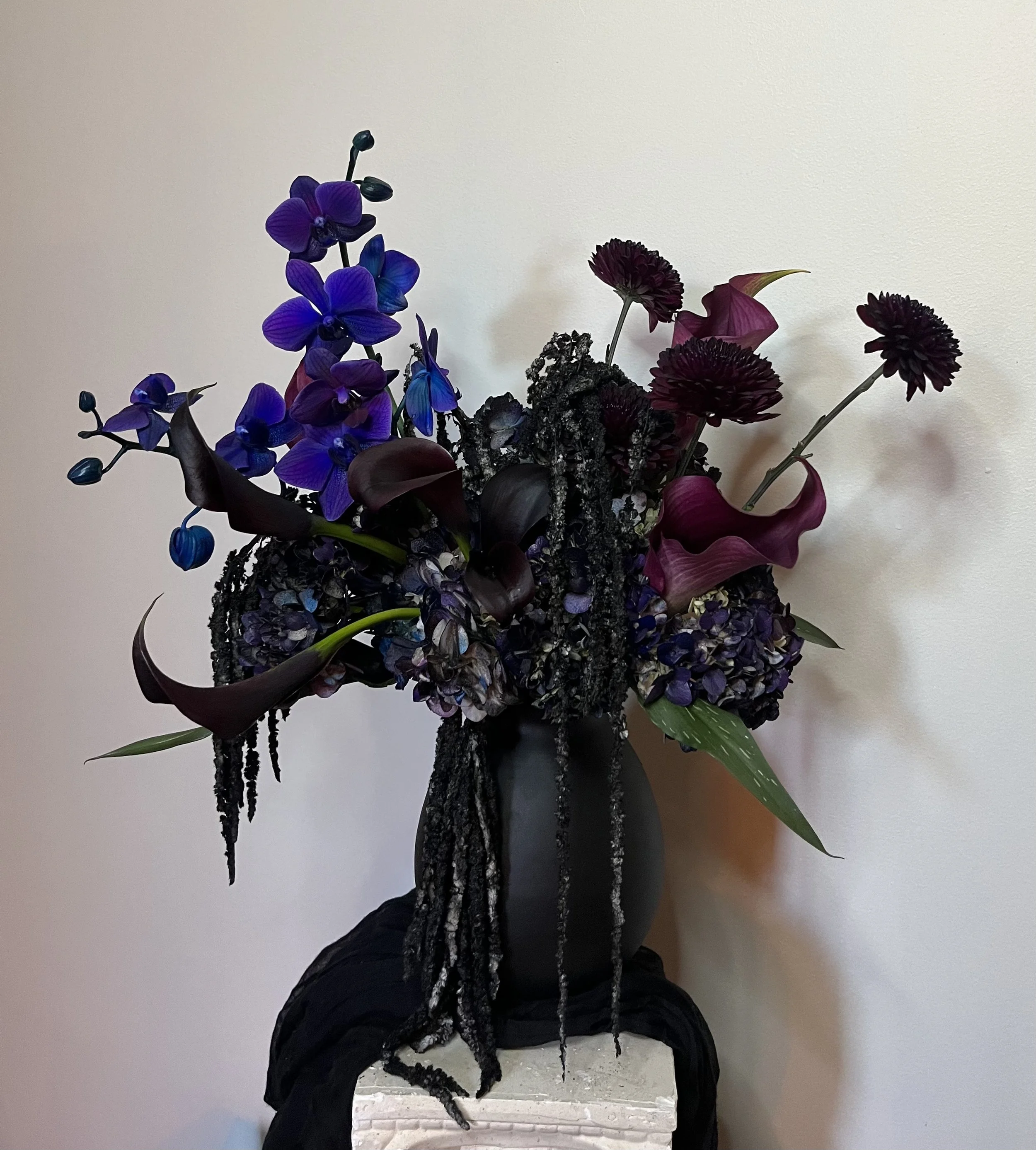 IMG_3724.jpeg