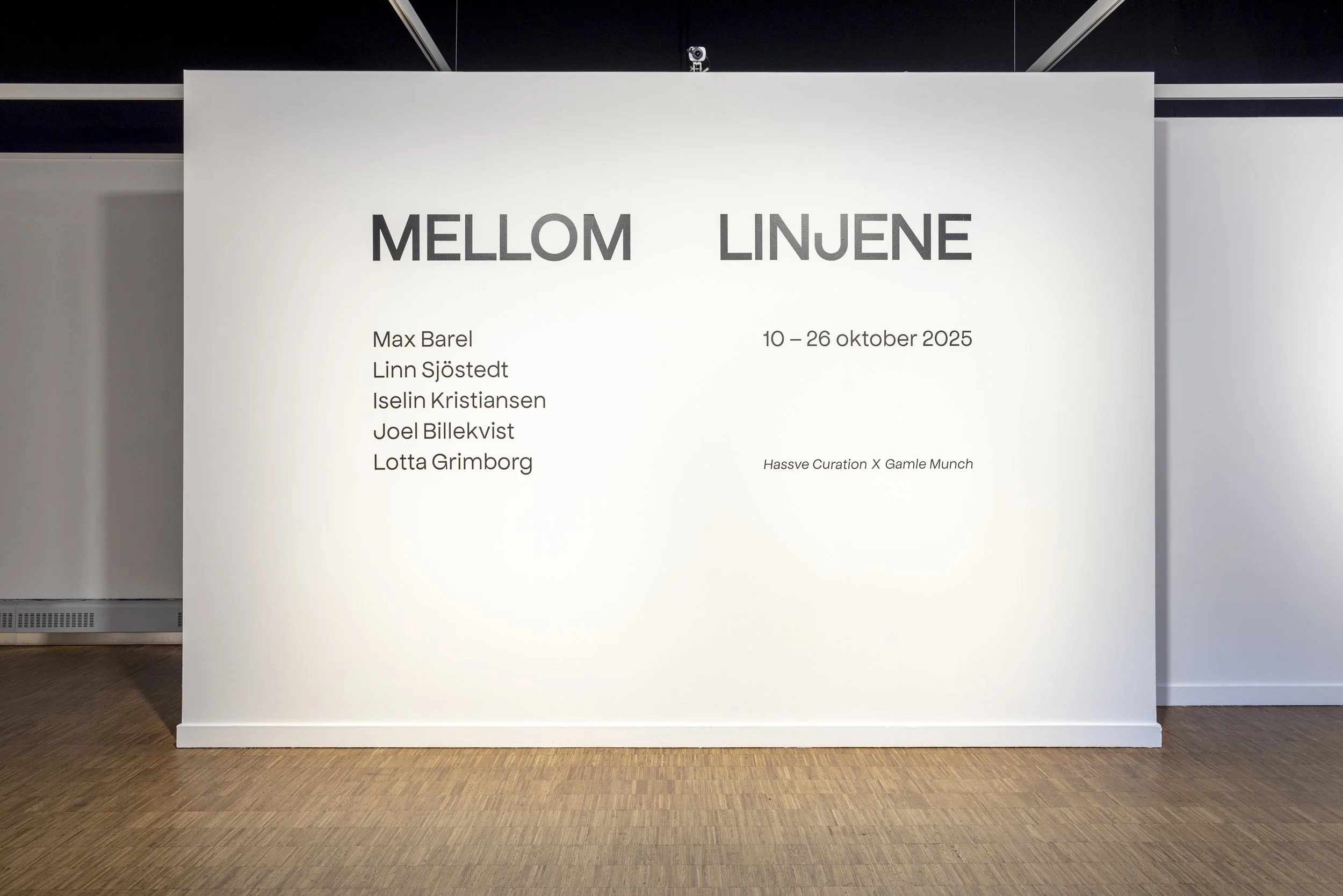 Exhibition photos taken by Eline Viddal Rød.