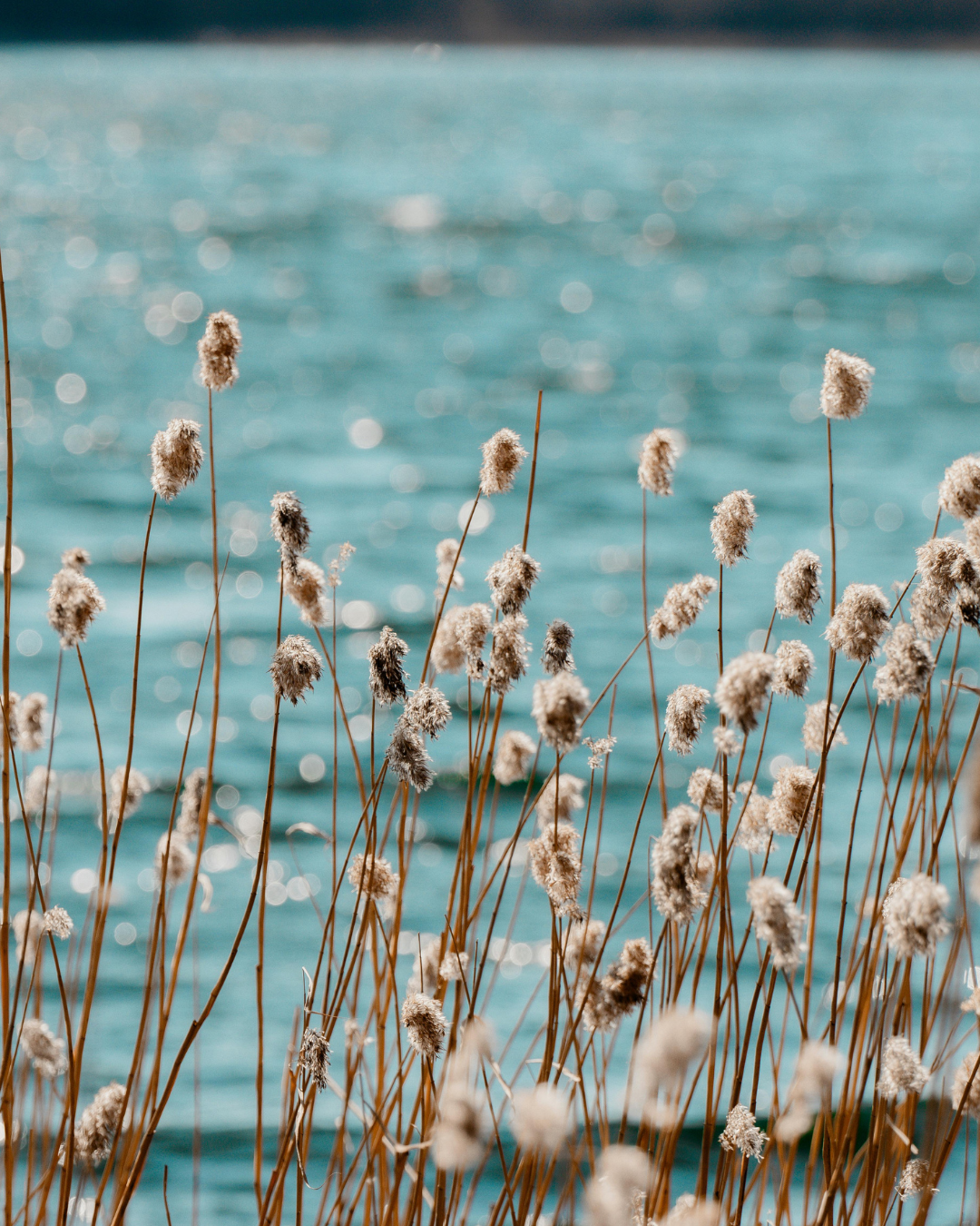 Why Stress Doesn’t Just Live in Your Mind — and How Breathwork Helps You Let It Go