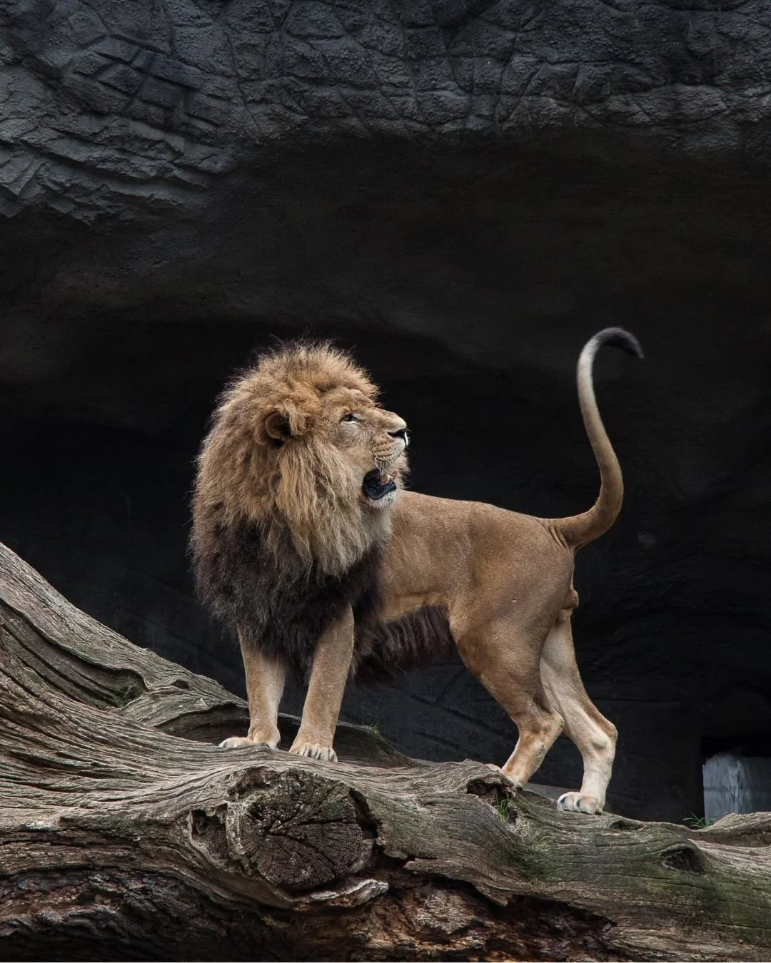 Masculinity Isn't About Suppressing Emotion—It's About Mastering Your Nervous System