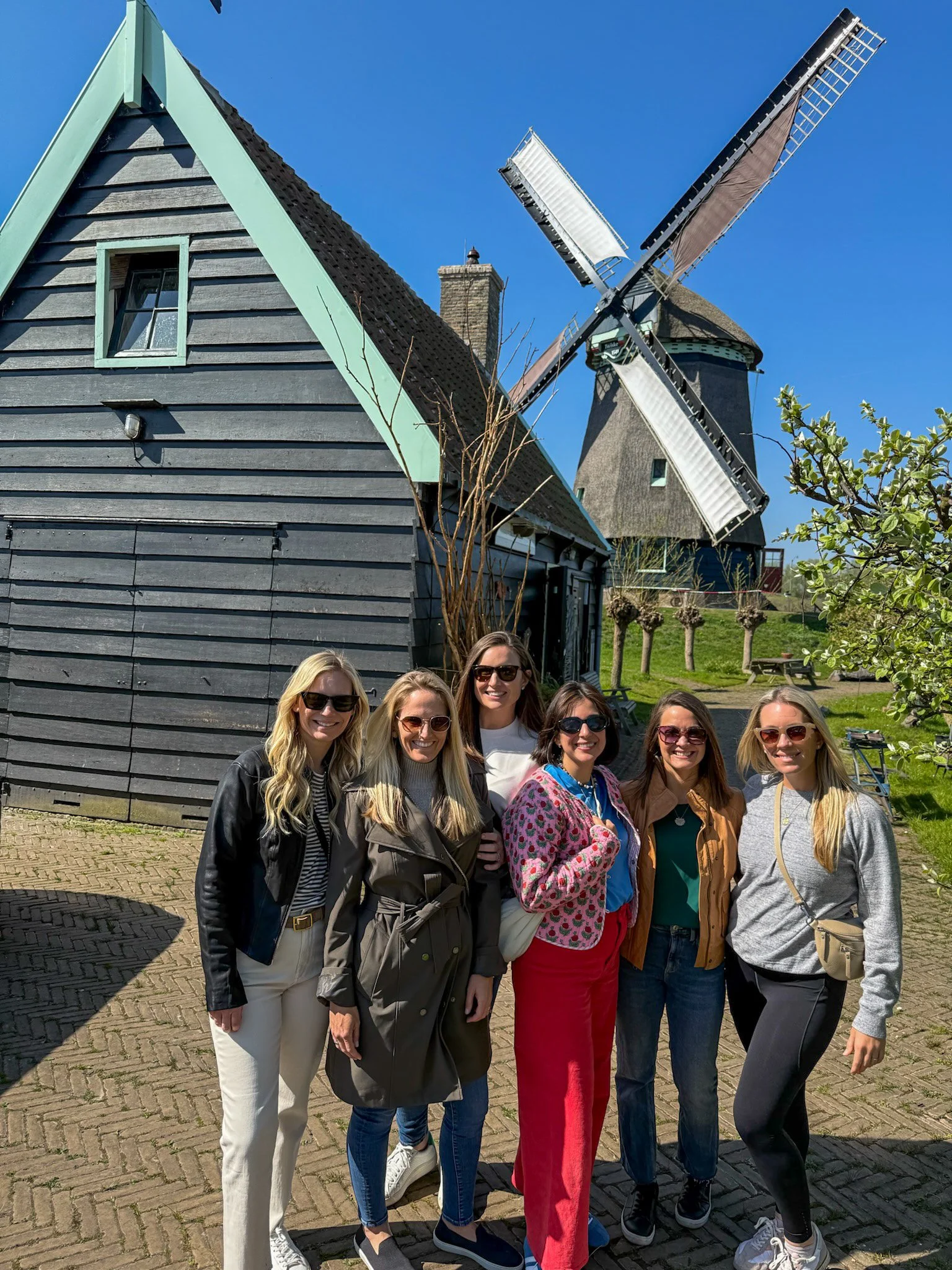 Windmills Amsterdam Bike Tour