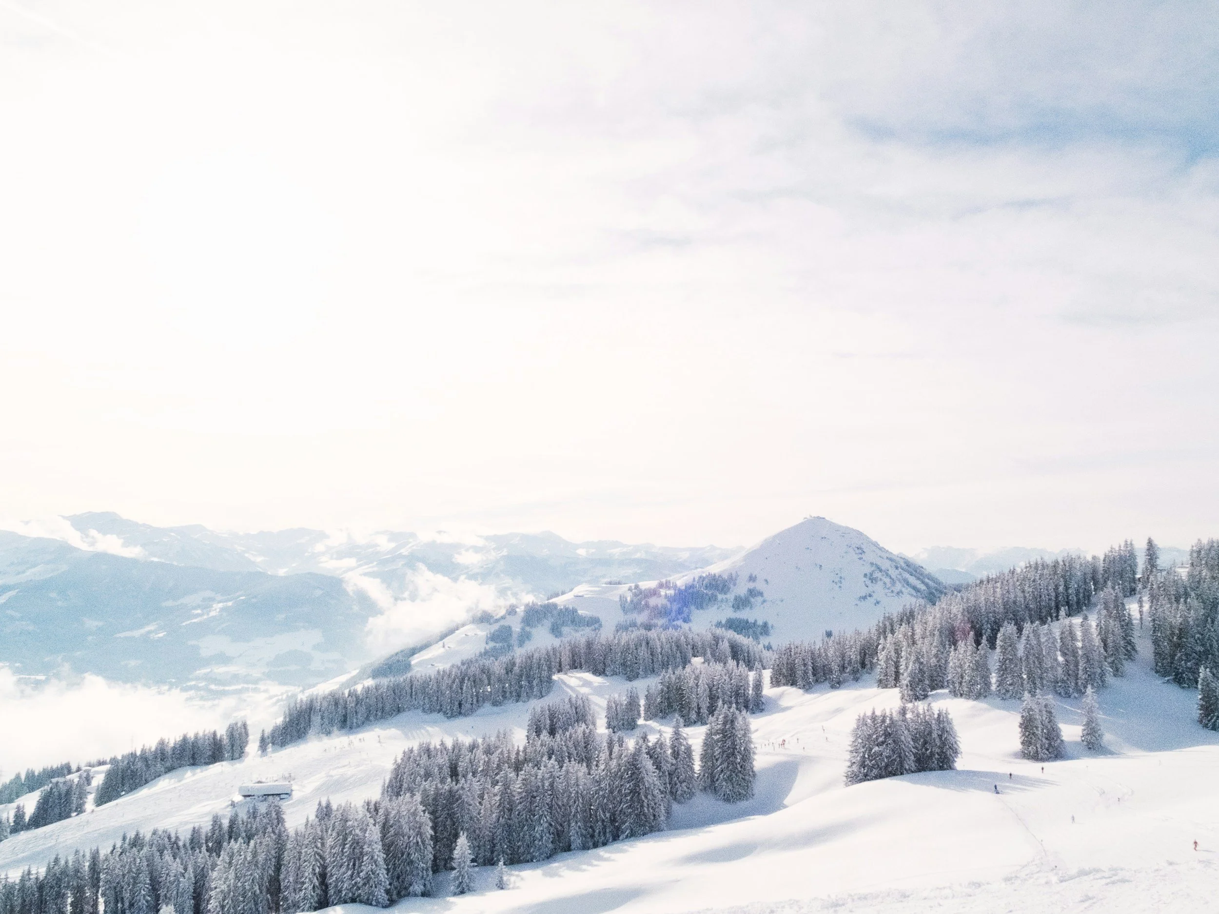 Snow-covered mountains and pine trees under a cloudy sky in a winter landscape.
