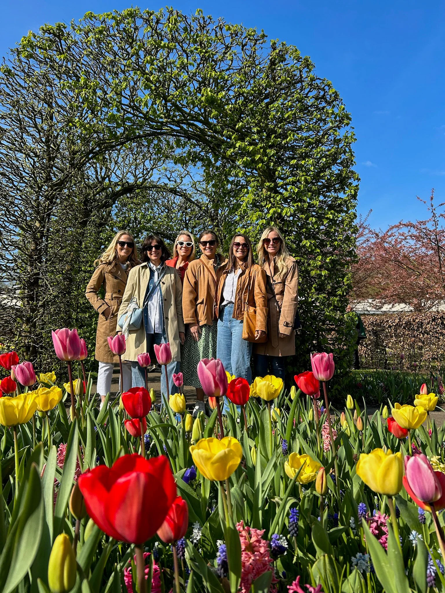 Keukenhof Botanical Gardens Amsterdam