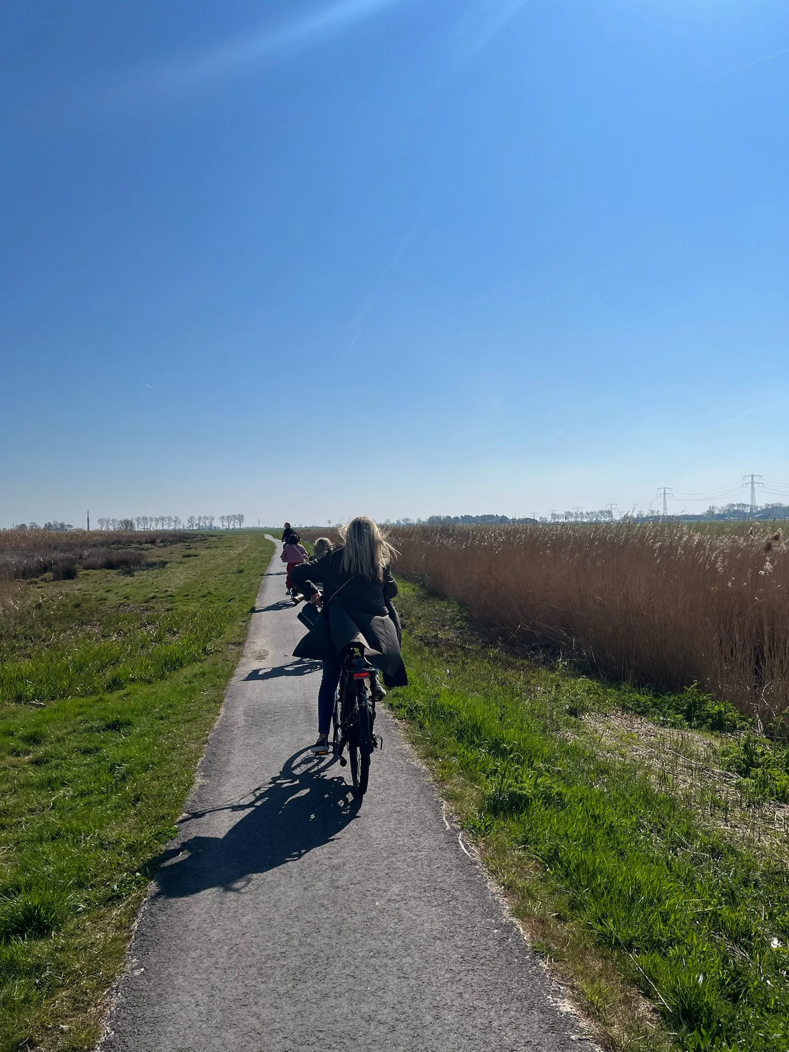 biking Amsterdam netherlands