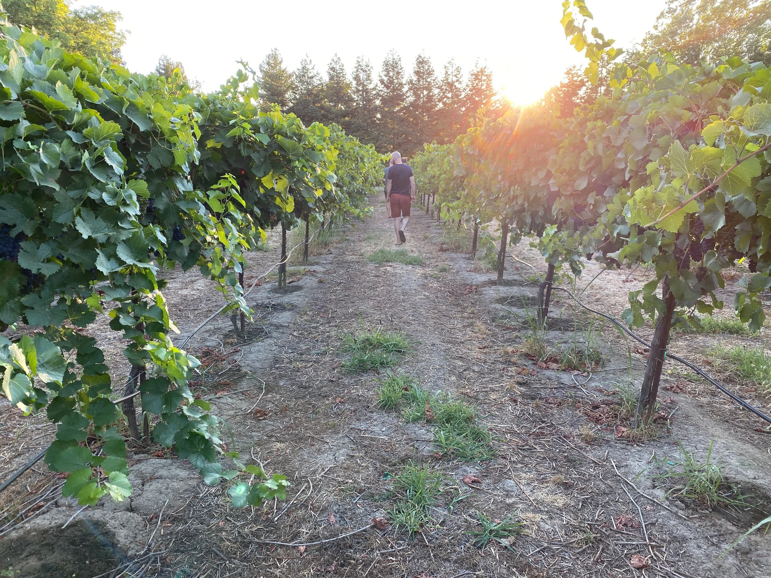 14b3ad84-4086-41d8-a751-bc1343d7e828 (1).jpeg