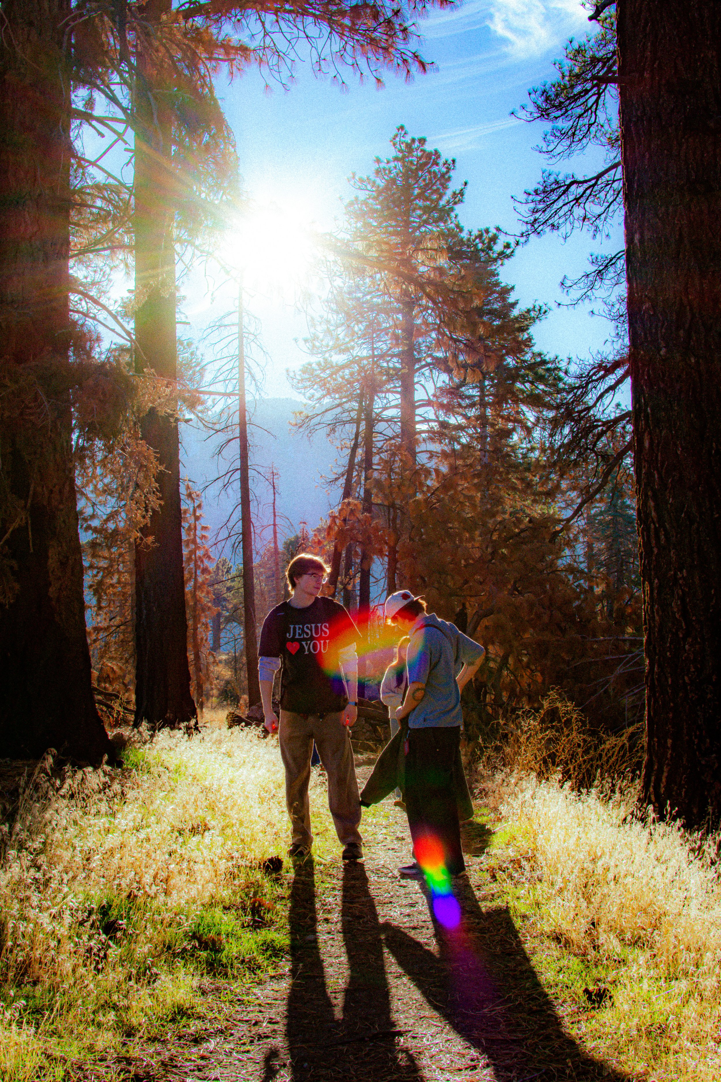 Three young people standing on a trail in a forest with tall trees, sunlight shining through, and shadows cast on the ground.