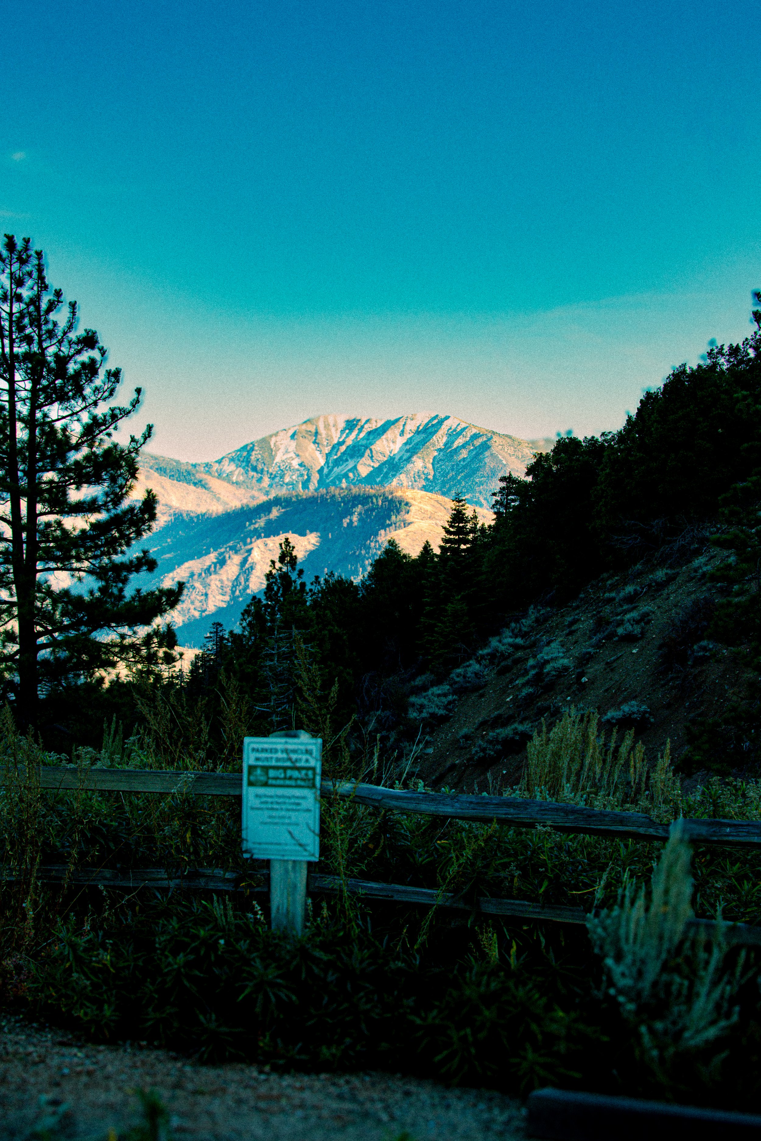 Scenic mountain landscape with a forested hillside and a blue sky. A blurred sign in the foreground indicates park regulations.