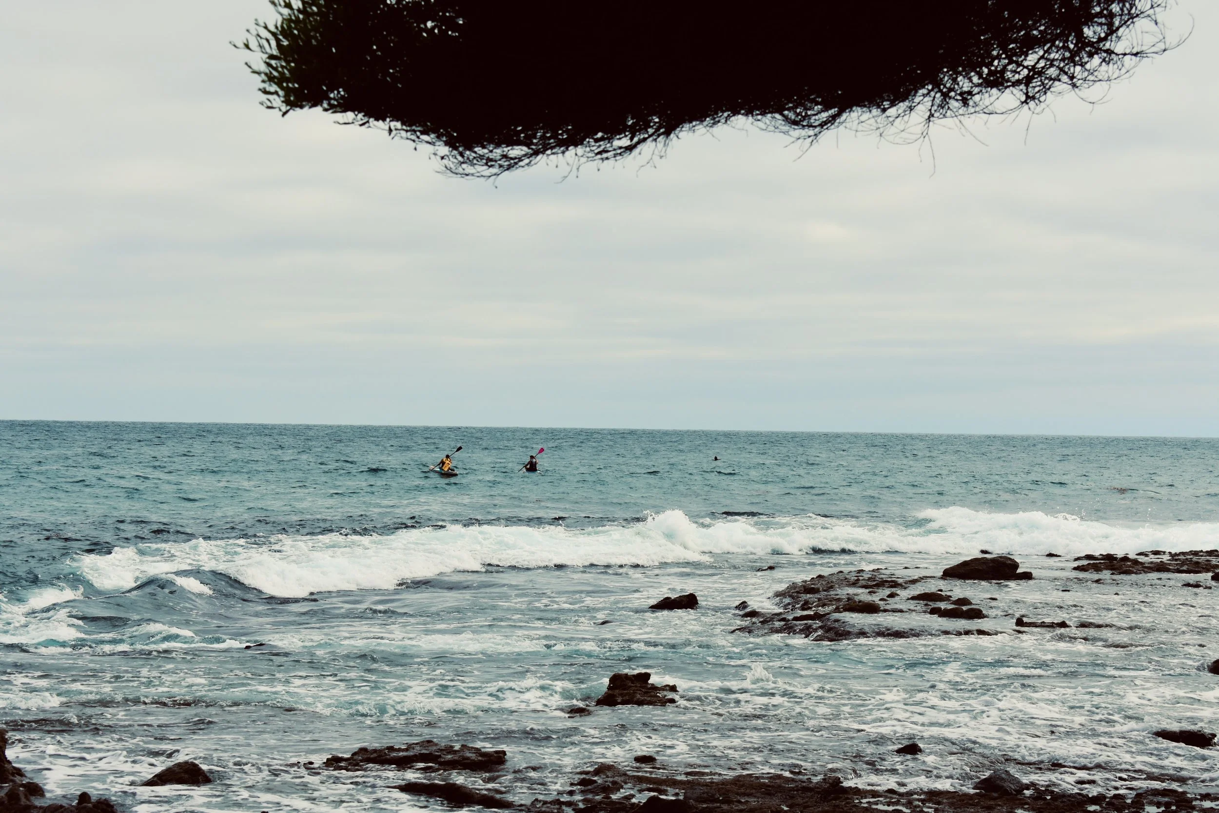 View of the ocean with three kayakers paddling in the distance under a cloudy sky, seen from a rocky shoreline with a dark, overhanging tree branch at the top.
