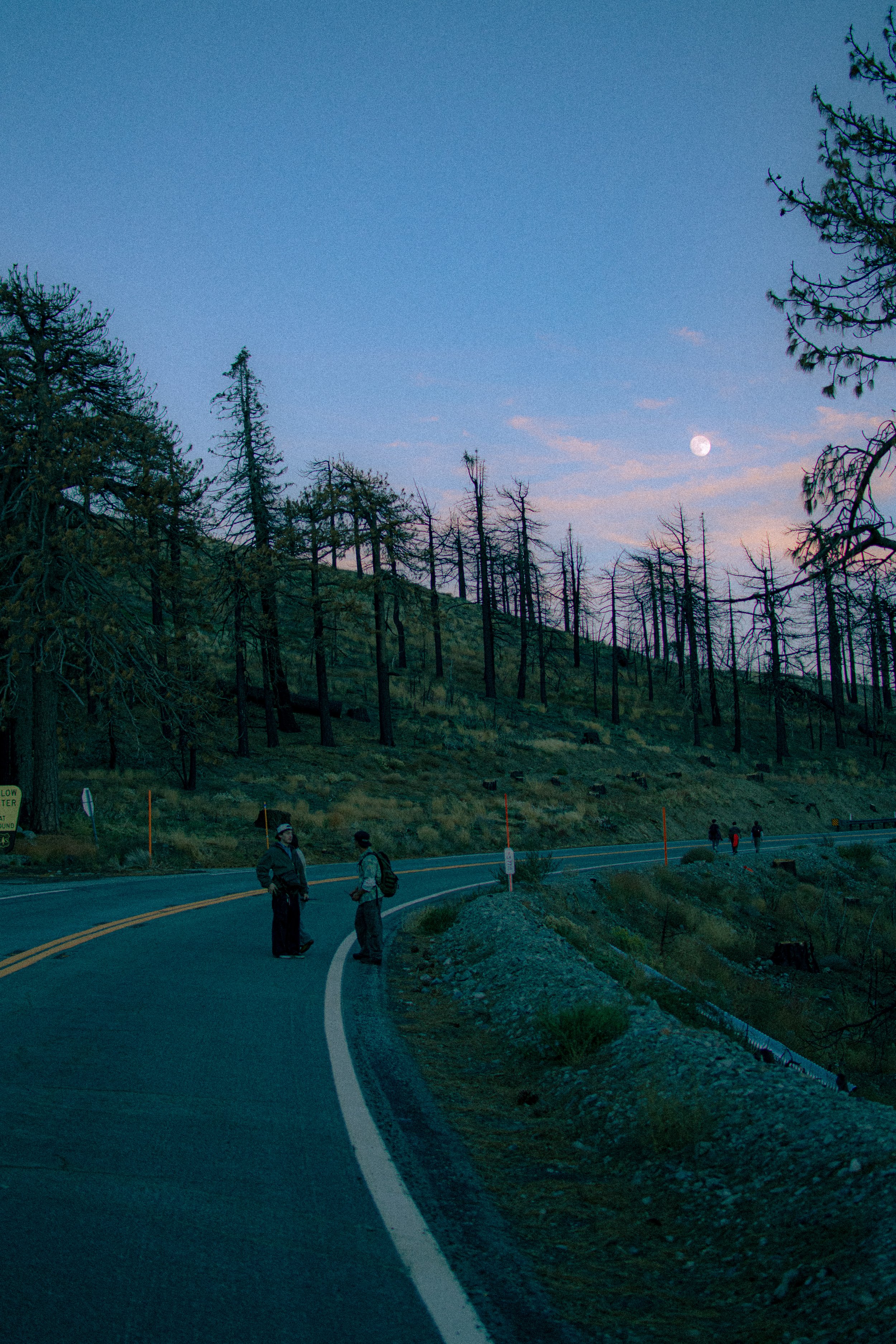 Nighttime scene on a winding mountain road with a group of people walking and talking, tall trees on a hillside, and a visible moon in the sky.