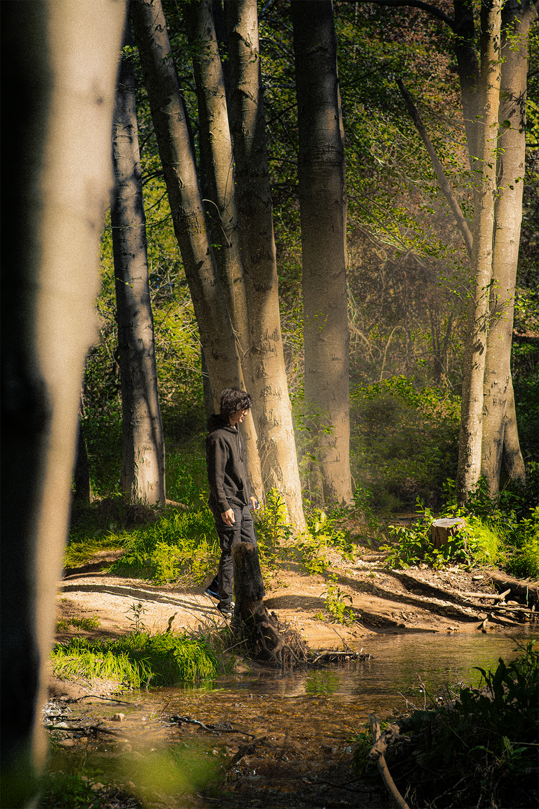 april 2026: forest friends