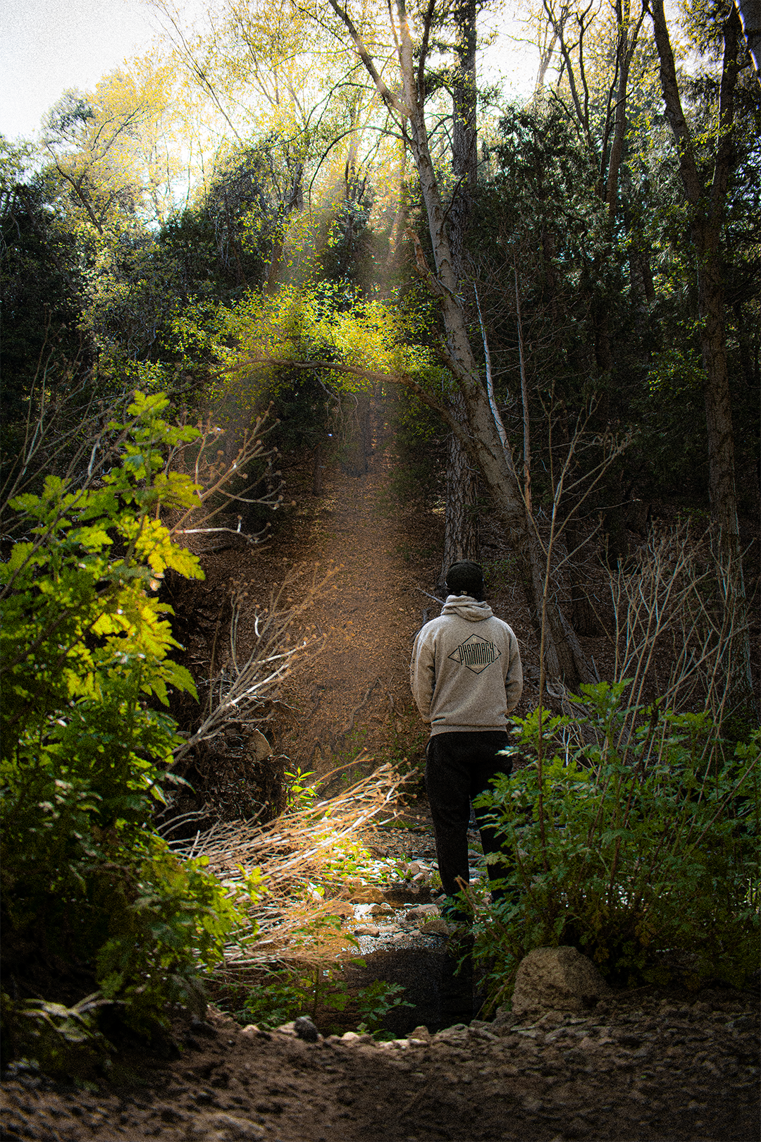 april 2026: forest friends