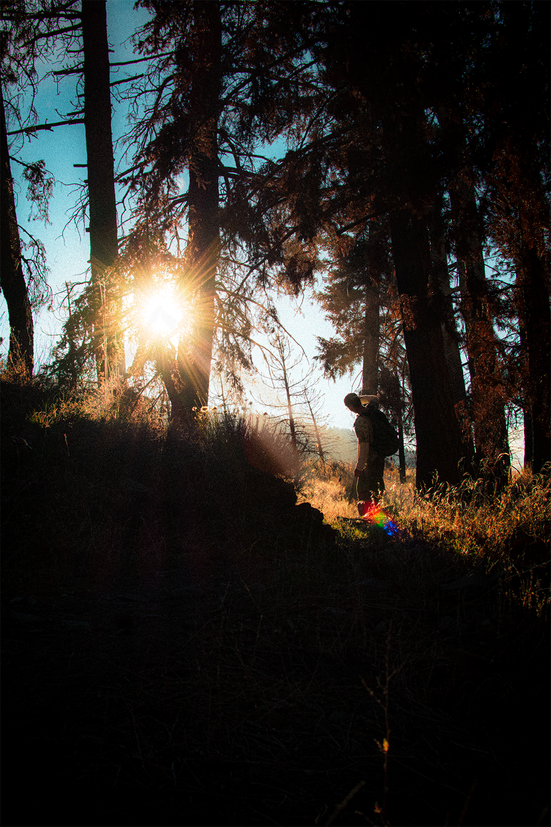 november 2025: wrightwood wander