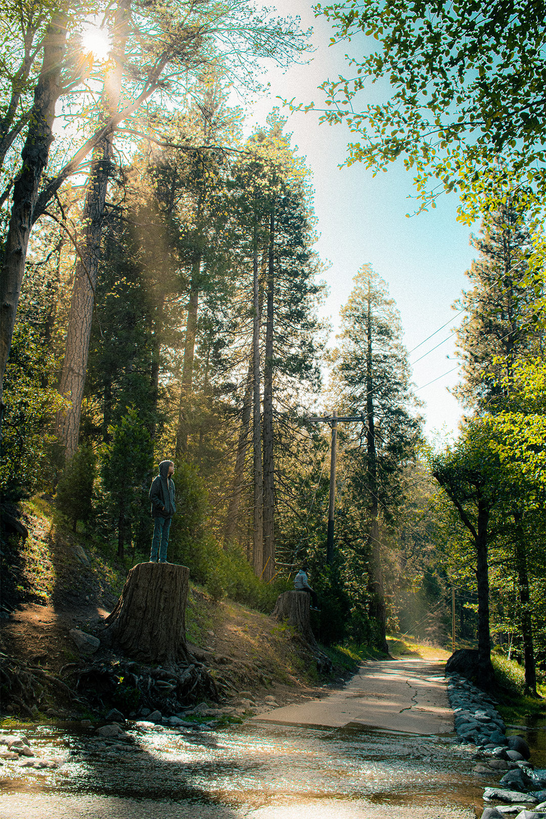april 2026: forest friends
