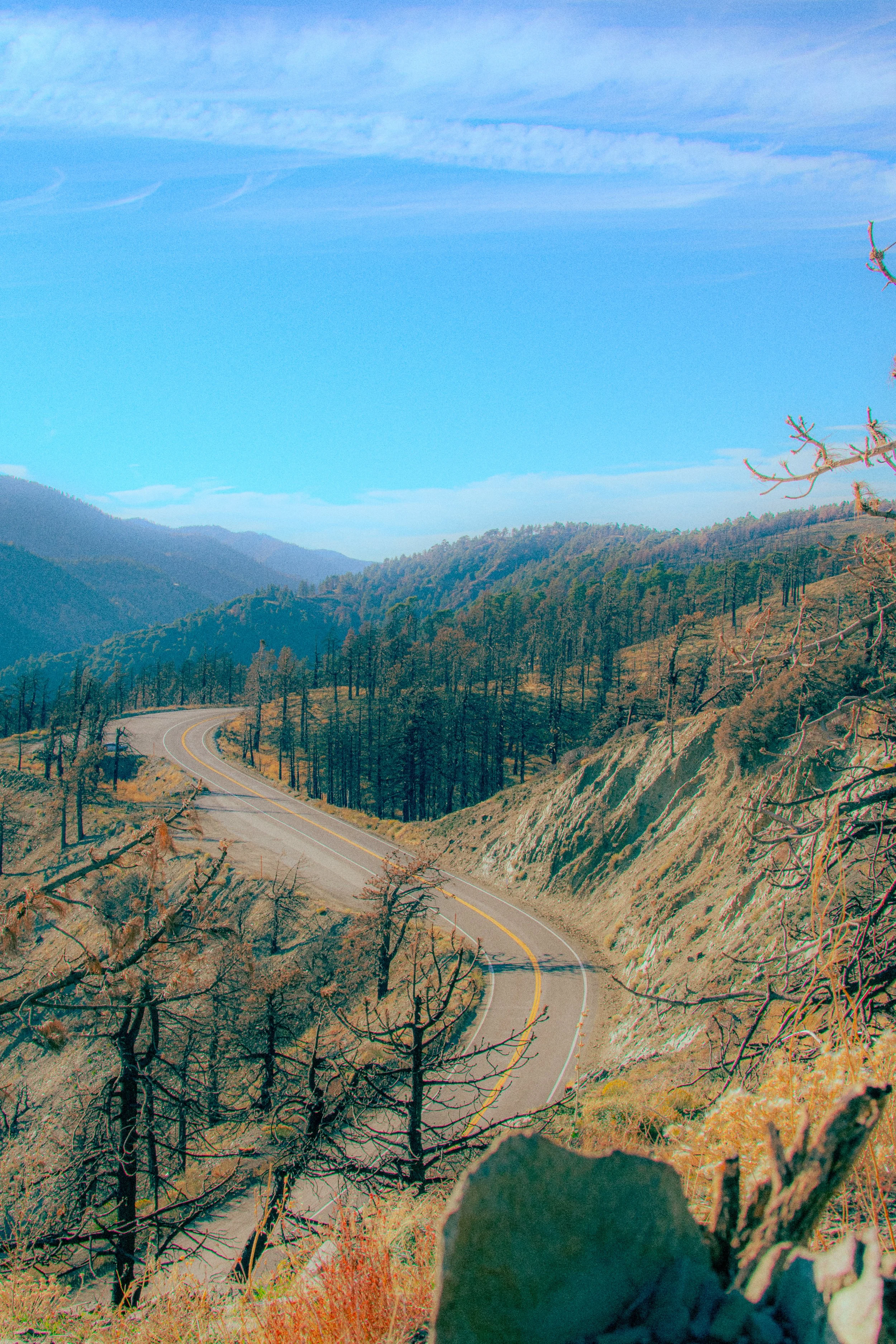 Scenic view of a mountain road winding through a forest with leafless trees, under a blue sky with wispy clouds.