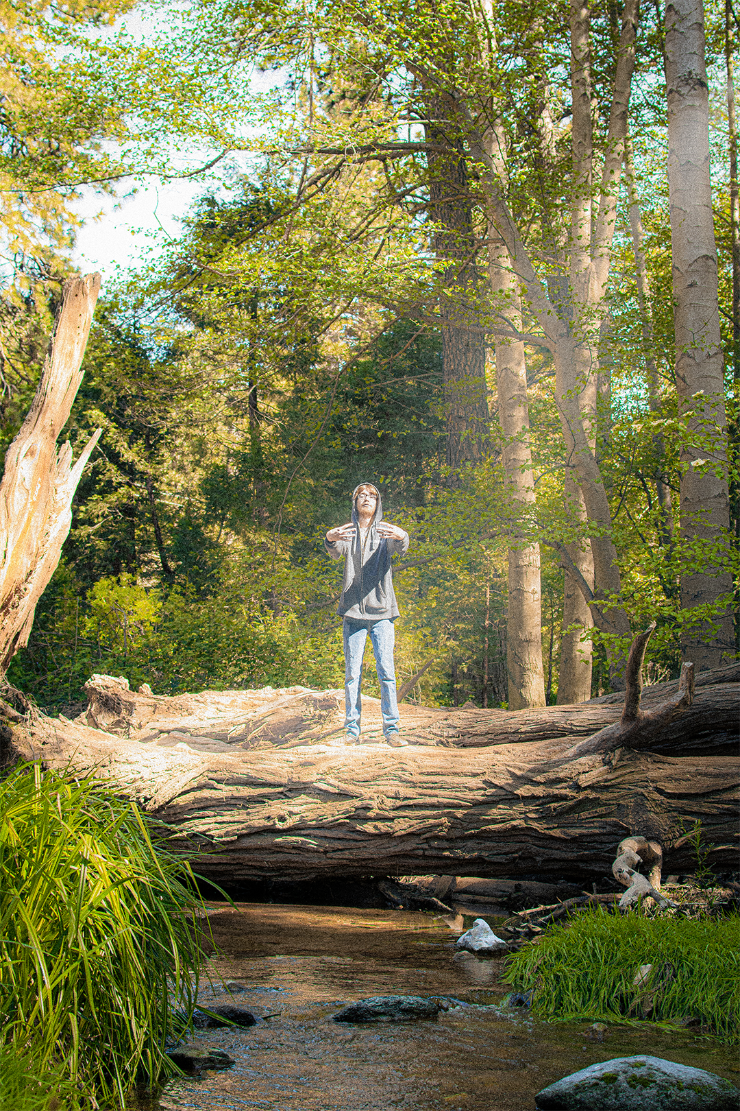 april 2026: forest friends