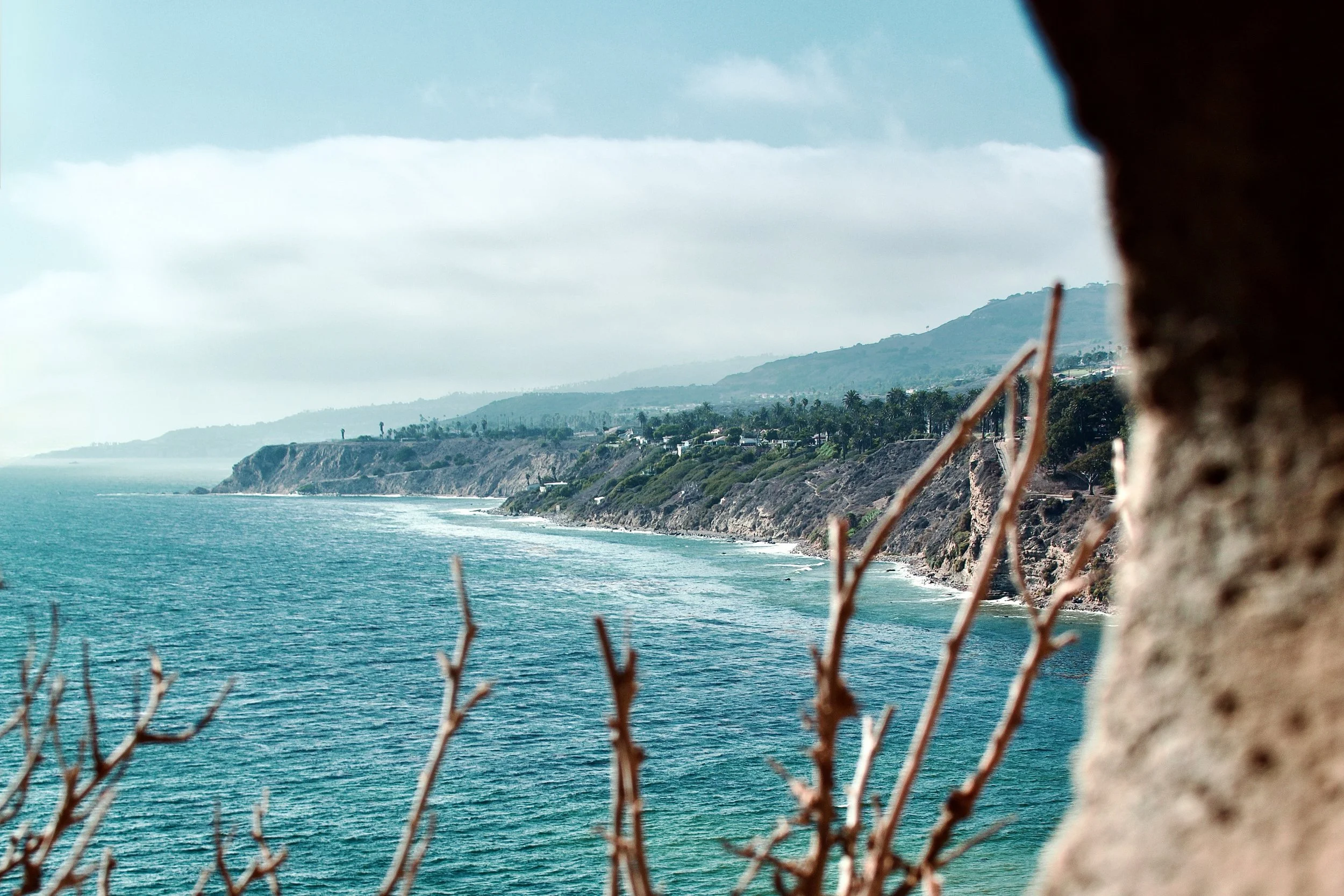 Coastal view of cliffs, ocean, and rolling hills seen through a rocky frame with dry branches in the foreground