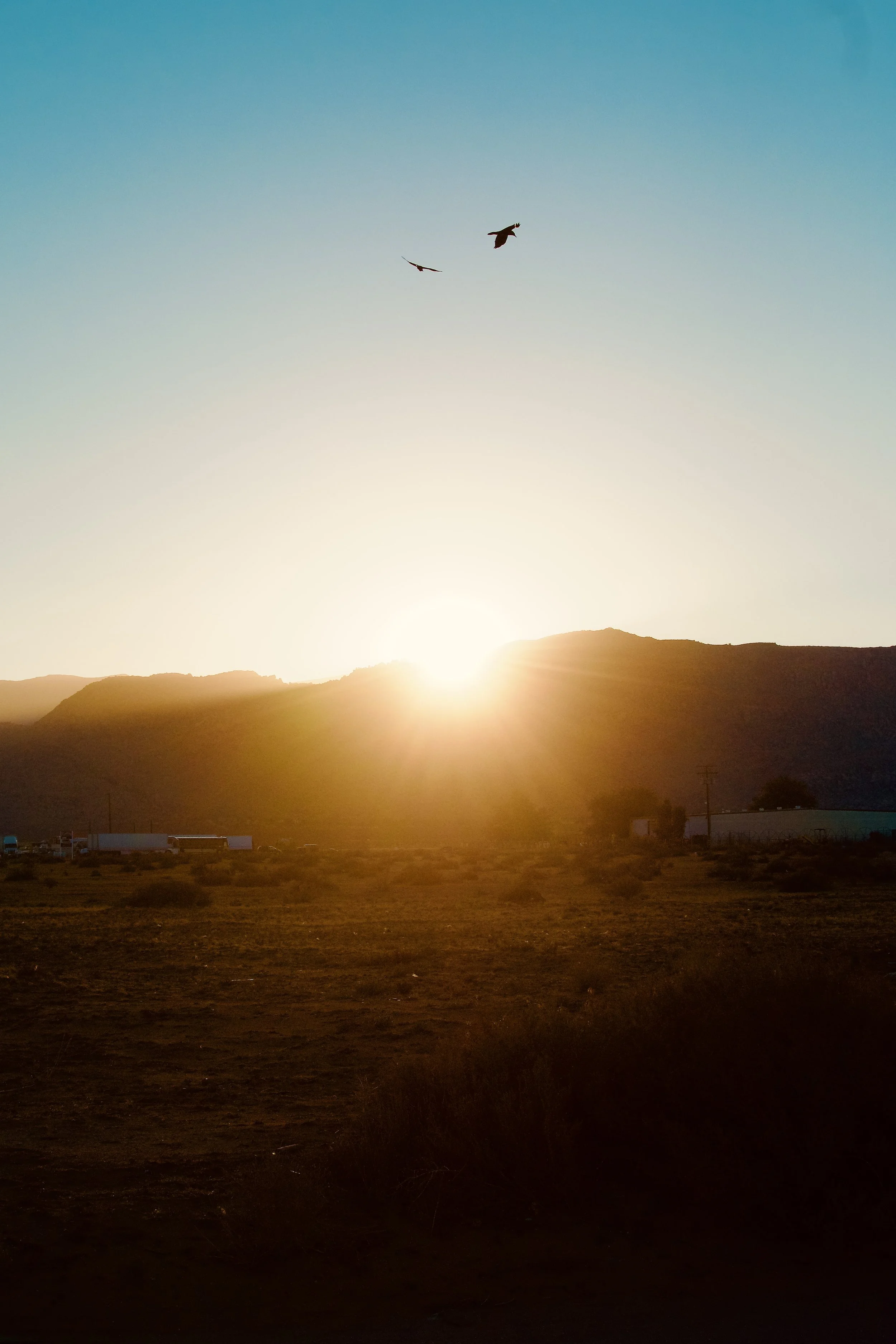 Sunset over a mountain range with two birds flying in the sky.