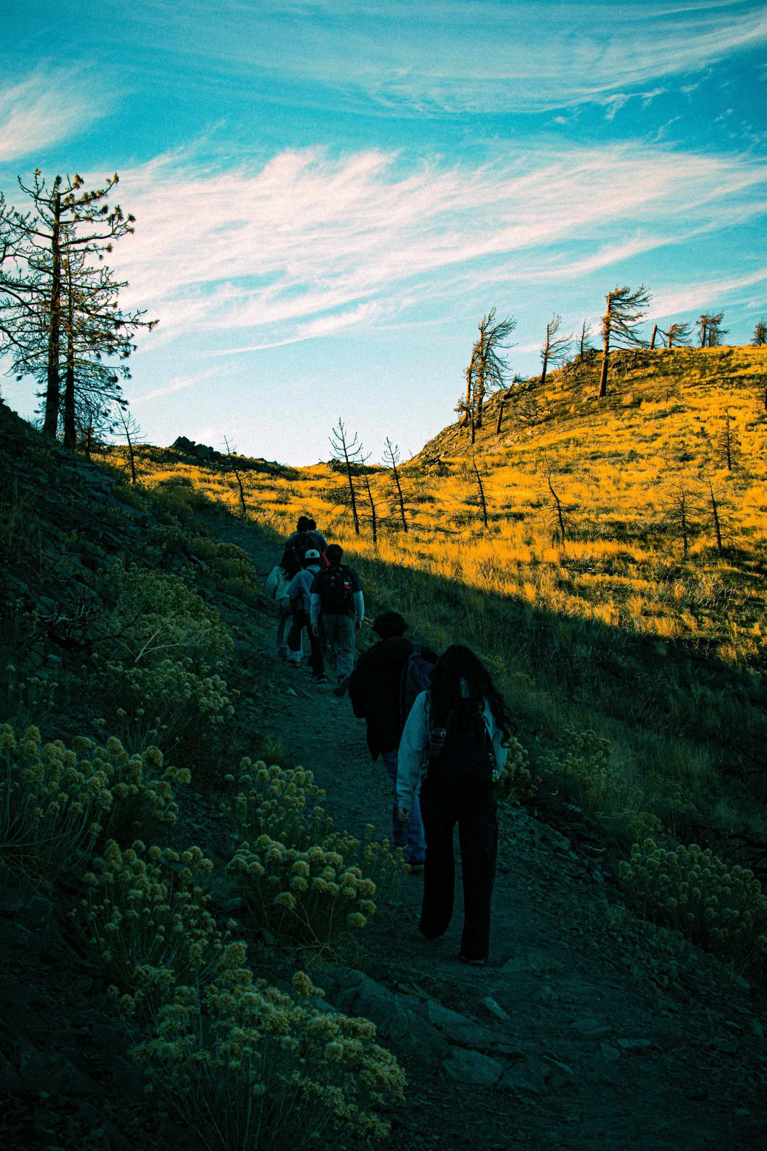 Group of hikers walking on a trail through a mountainous landscape with sparse trees and dry vegetation, under a partly cloudy sky.