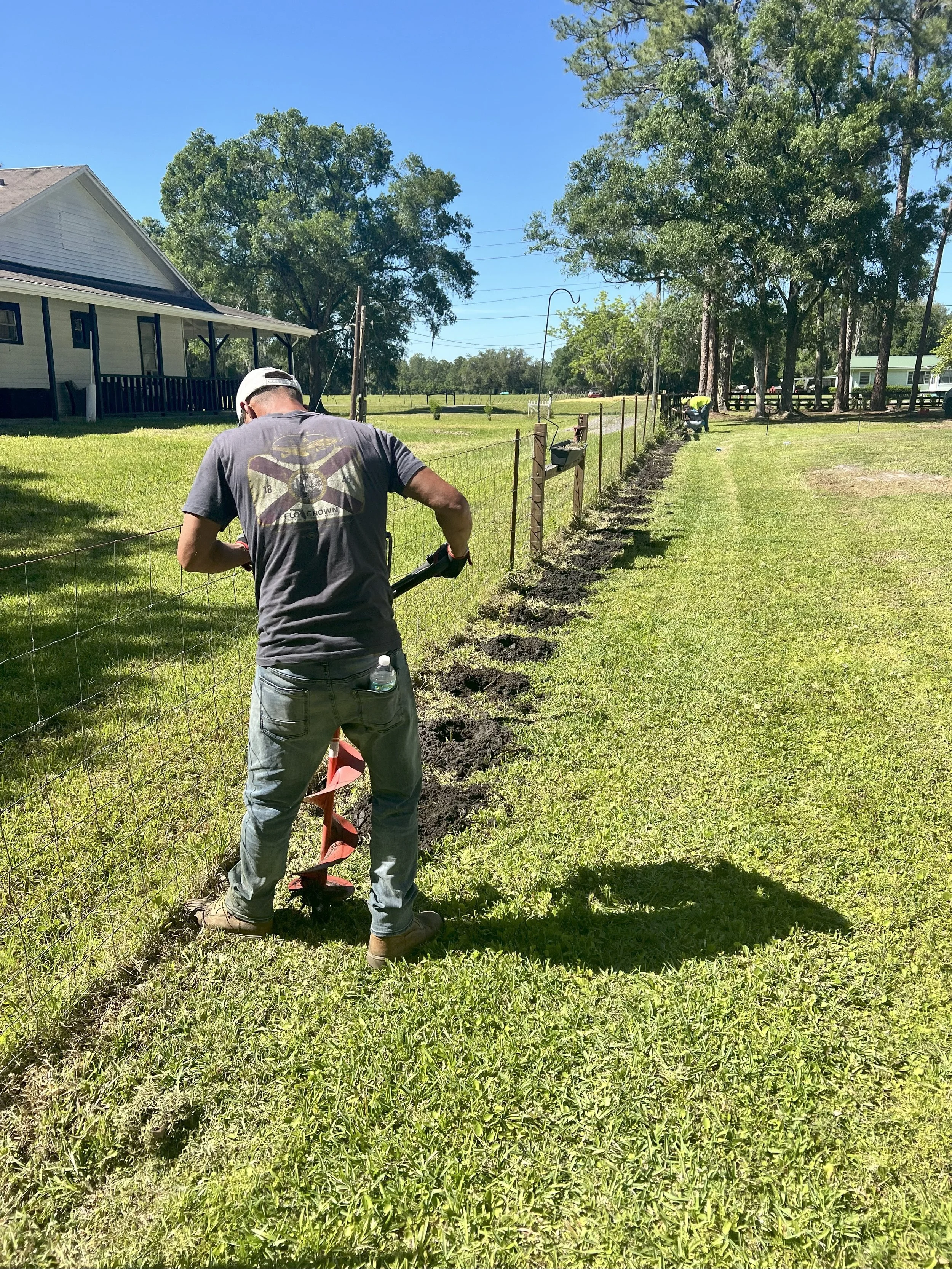A person planting a row of new plants along a wire fence in a grassy yard during sunny weather, with trees and houses in the background.