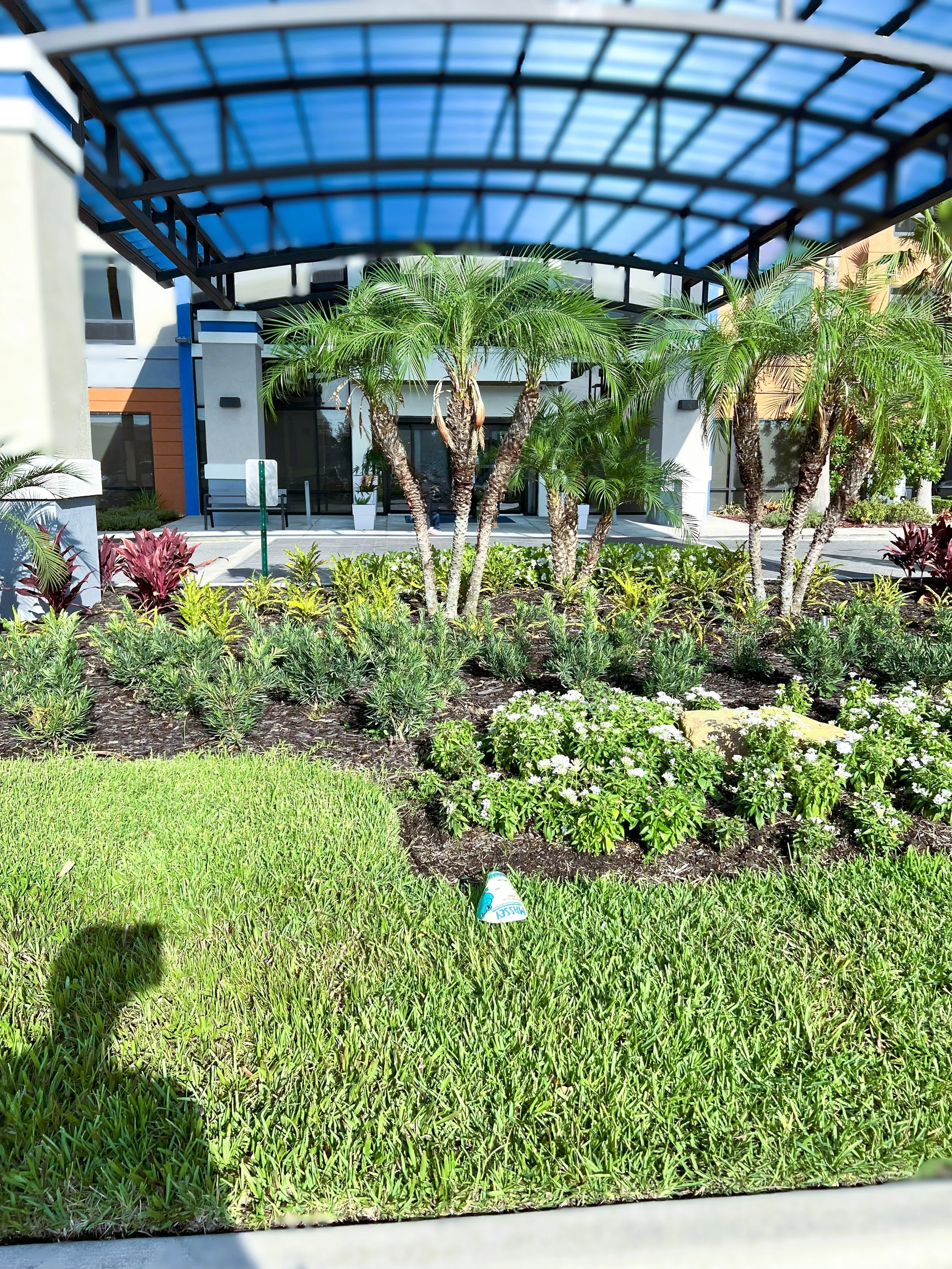 Well-maintained landscape with palm trees, green shrubs, flowering plants, and a grassy lawn outside a modern building with a blue-roofed structure.