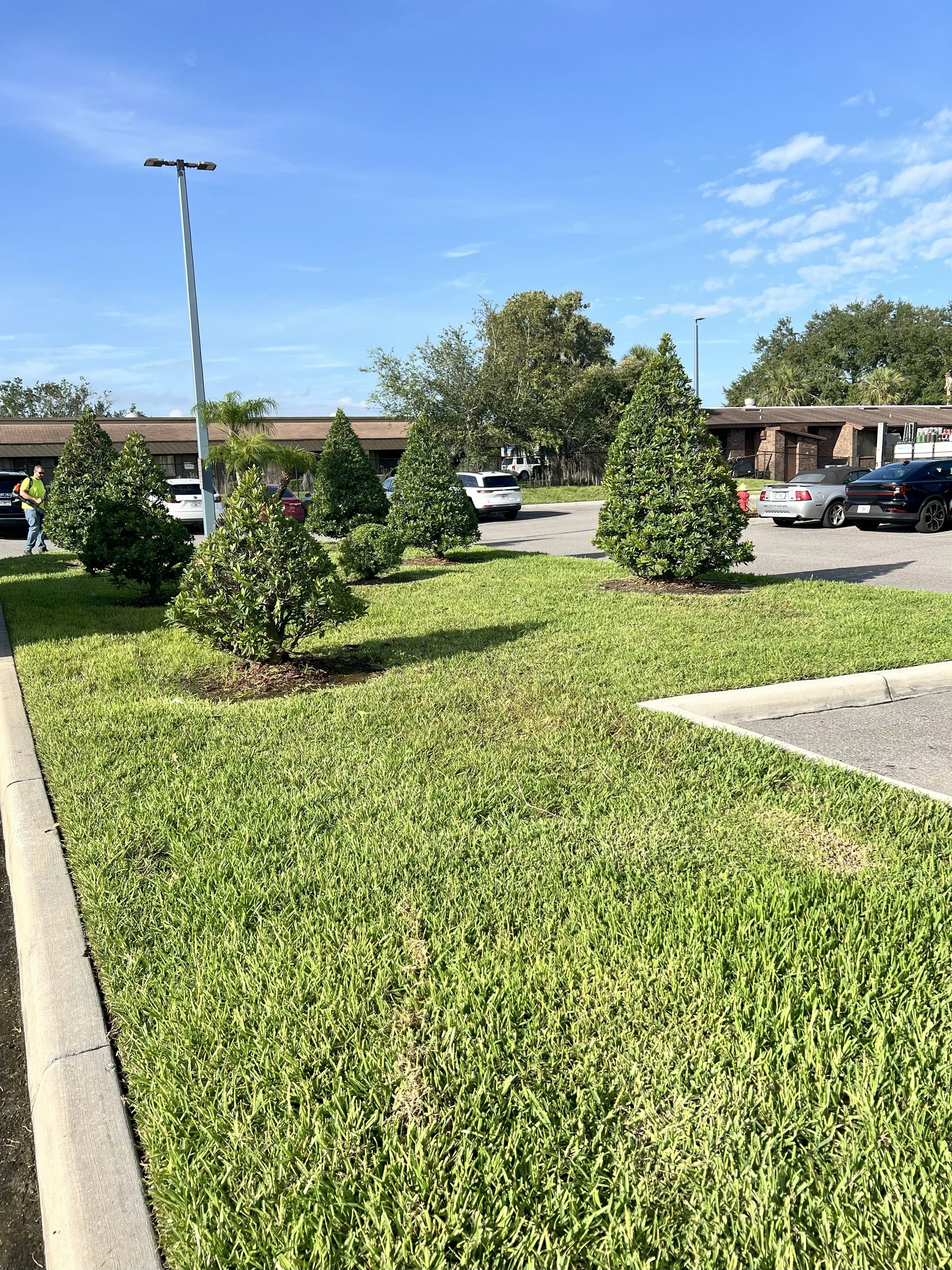 Monthly Lawn Maintenace