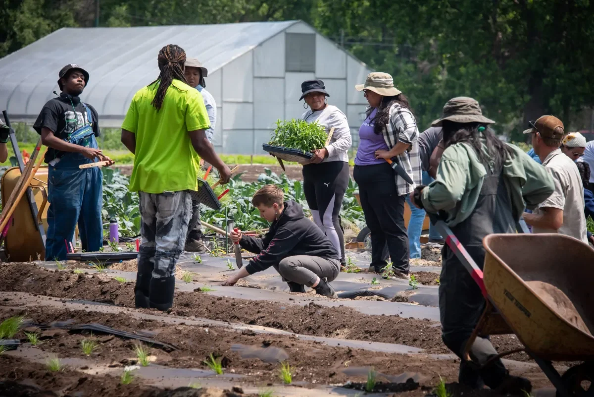 How A Little Village Farm Is Reviving Prairie Land