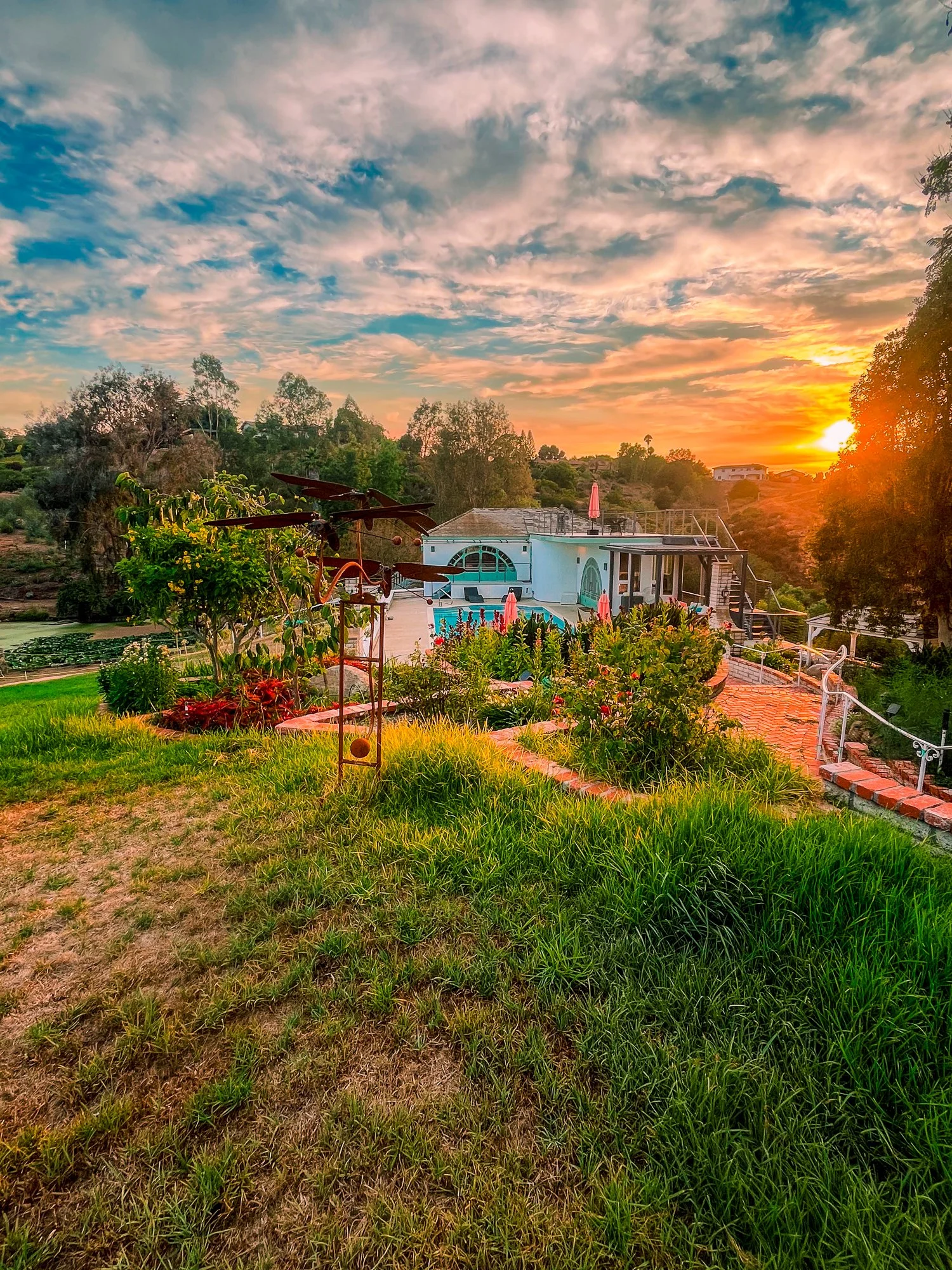 Sunset over a backyard with a pool, umbrella, and lush greenery.