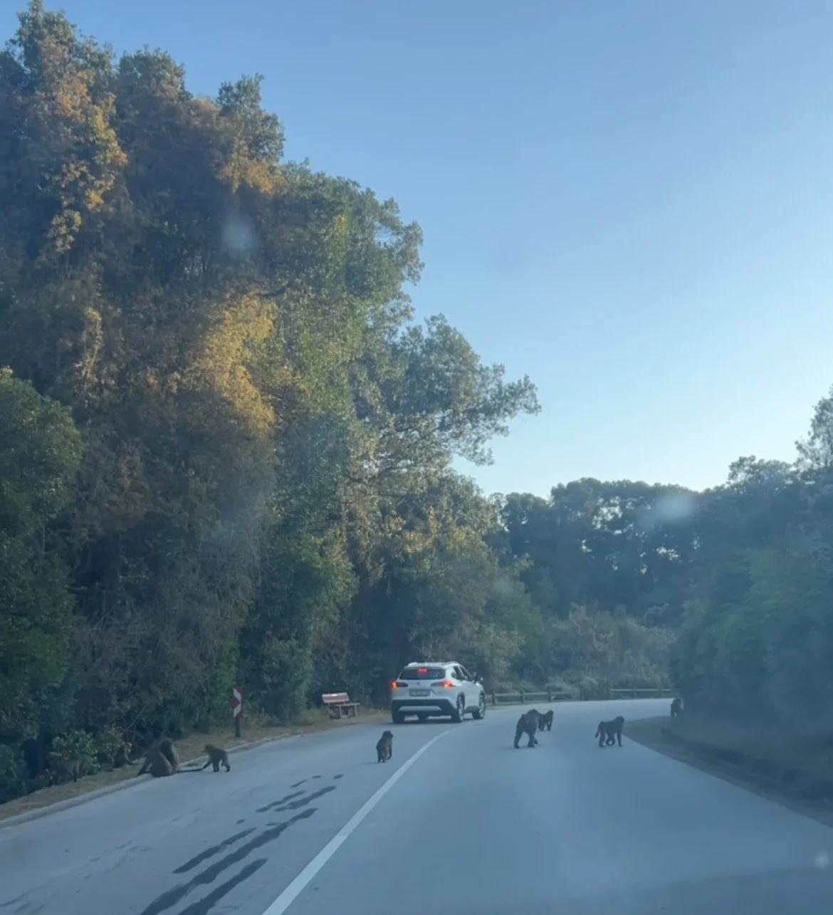 View recent photos 2.jpeg