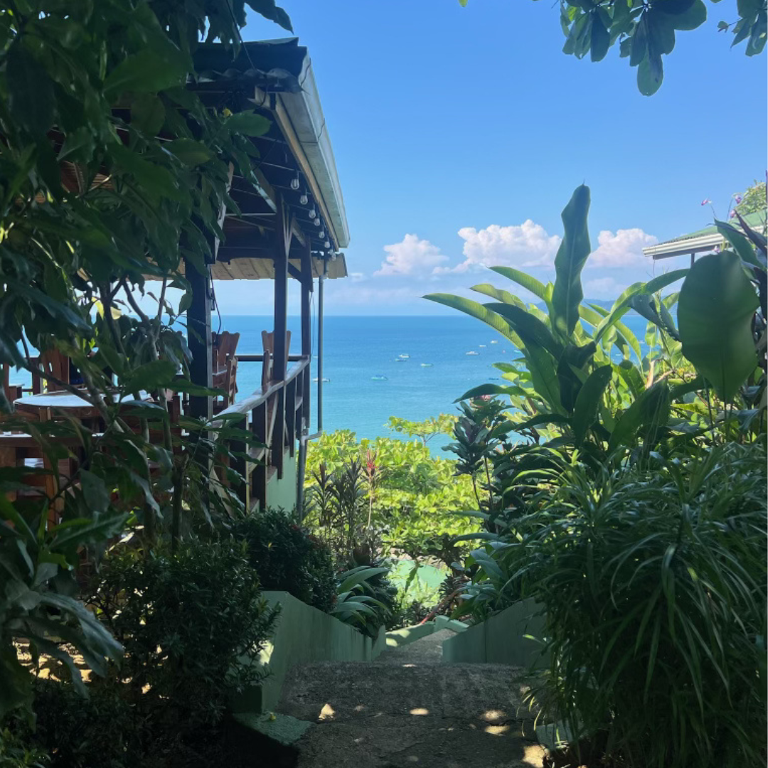 Costa Rica Itinerary: 2 Weeks of Wildlife, Adventure &amp; Unique Stays (Full Guide)