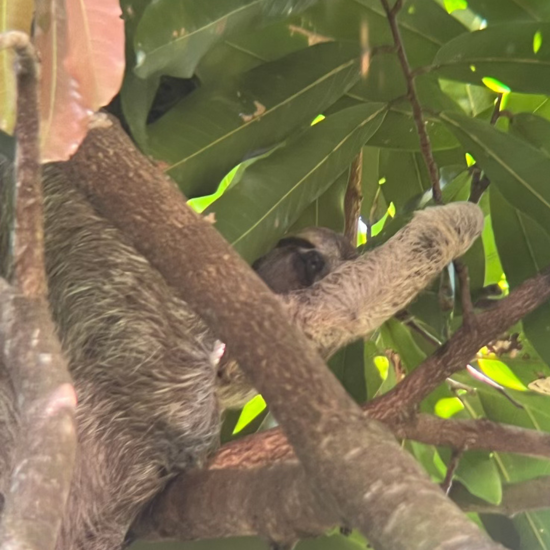 Relatable Moments Meme in White Black Red Meme Style (5).png