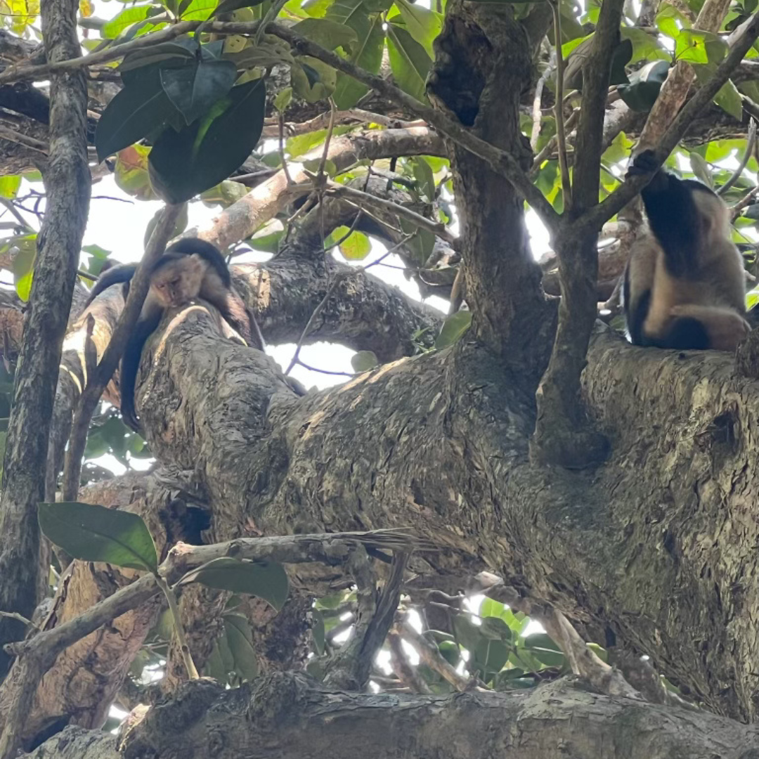 Relatable Moments Meme in White Black Red Meme Style (7).png