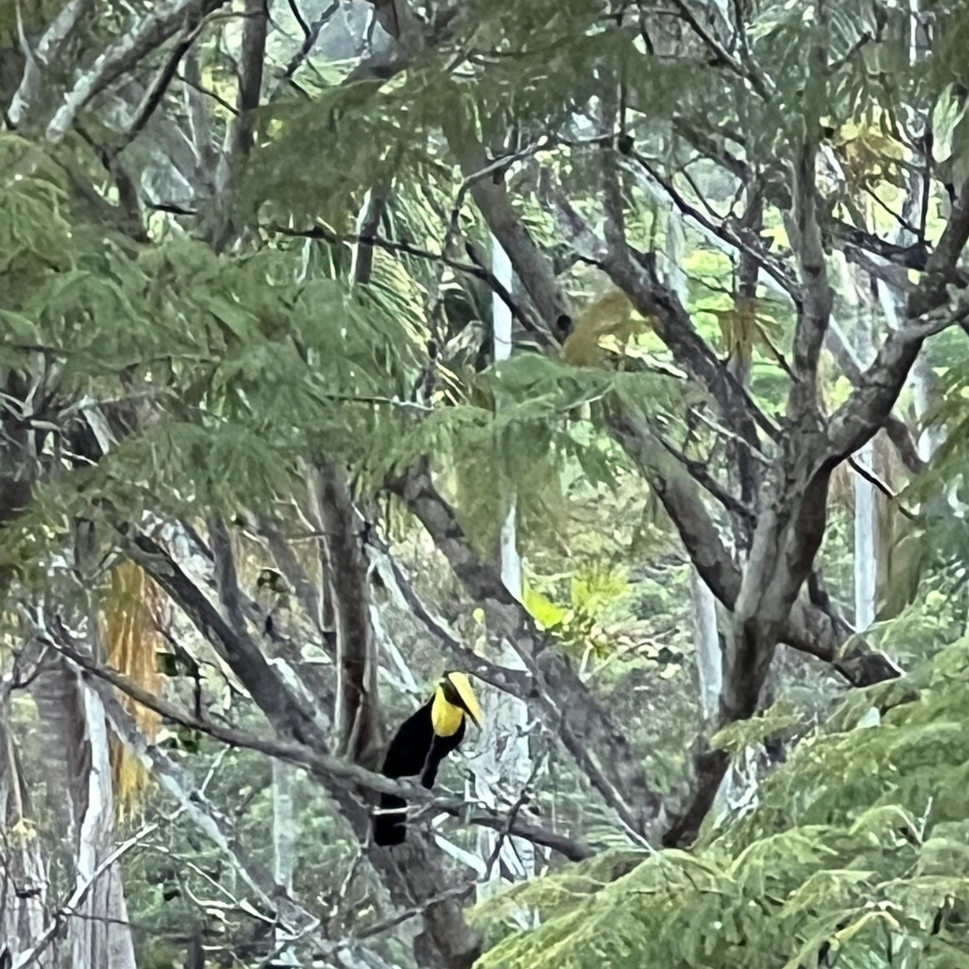 Relatable Moments Meme in White Black Red Meme Style (9).png