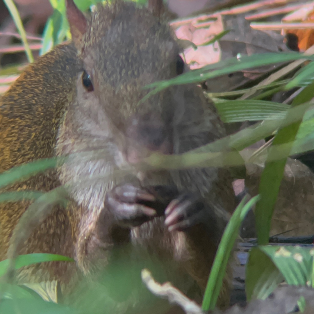 Relatable Moments Meme in White Black Red Meme Style (11).png