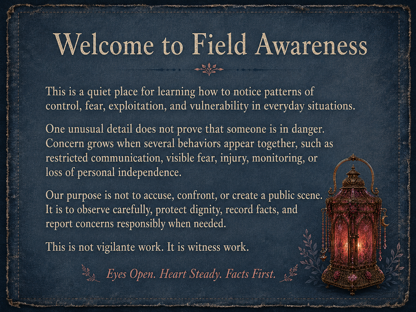 A sign titled 'Welcome to Field Awareness' with text explaining the importance of observing patterns of control, fear, and vulnerability without making assumptions or accusations. The sign features decorative elements, including a lantern illustration and floral accents, with a dark blue background and beige and pink font.