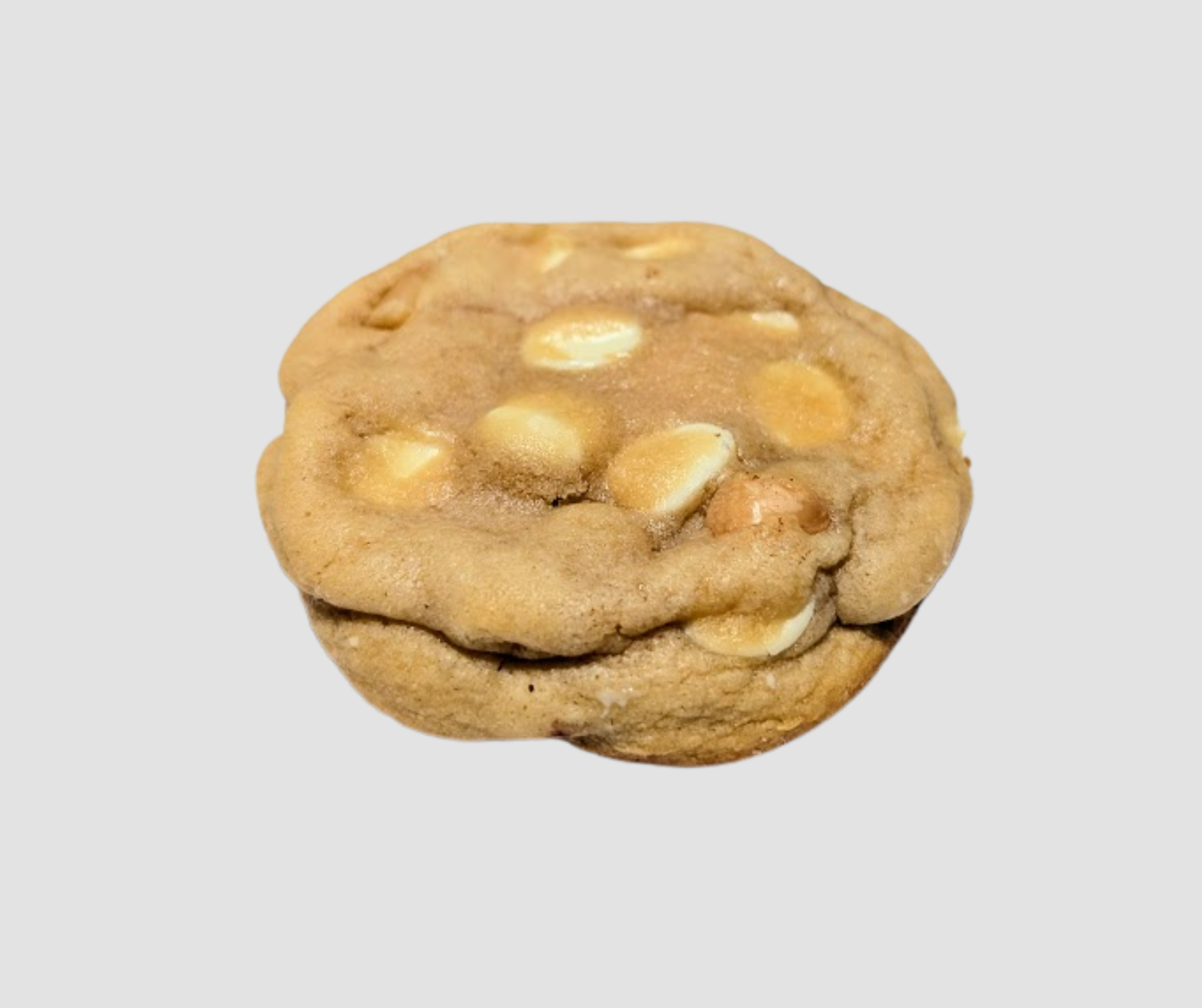 Macadamia Nut White Chocolate Chip Cookie