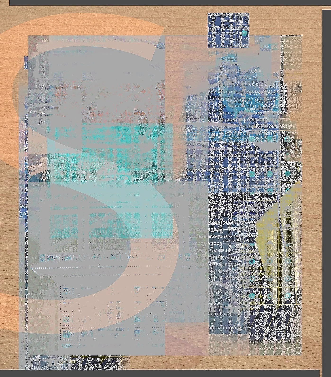 GIVE ME AN S   / 2014 /  52 x 52