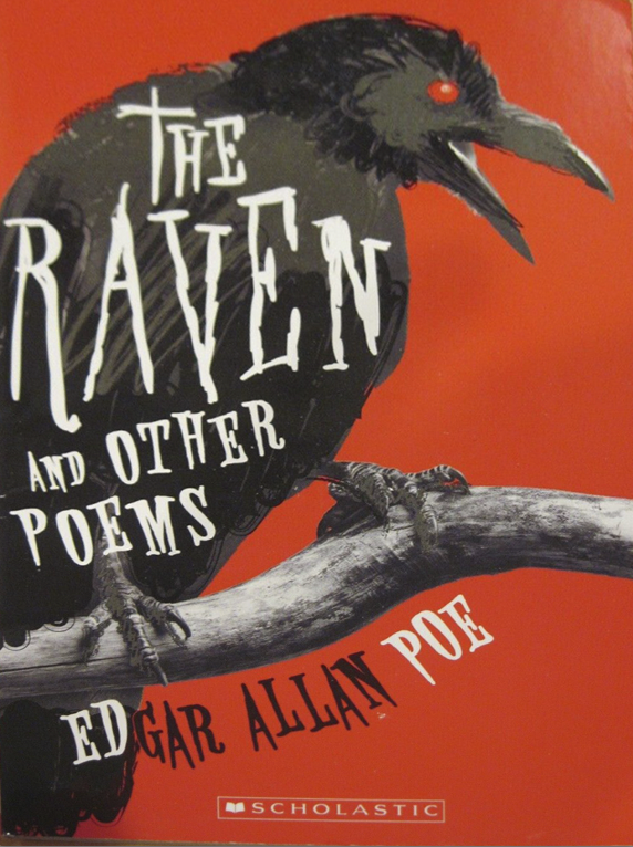 Screenshot 2026-02-19 at 11.34.34 AM.png