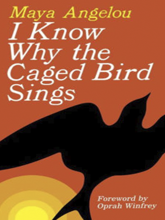 Screenshot 2026-02-19 at 11.36.39 AM.png