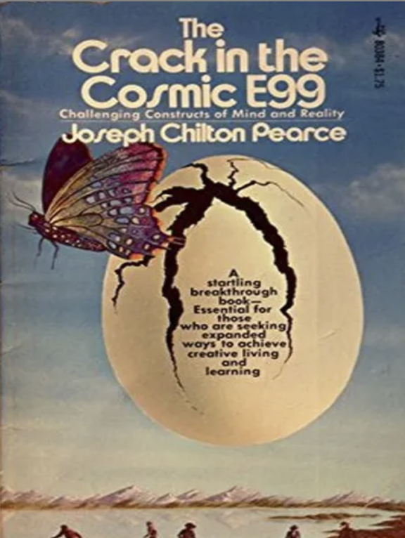 Screenshot 2026-02-19 at 11.41.46 AM.png