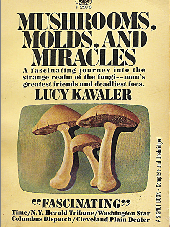 Screenshot 2026-02-19 at 12.11.19 PM.png