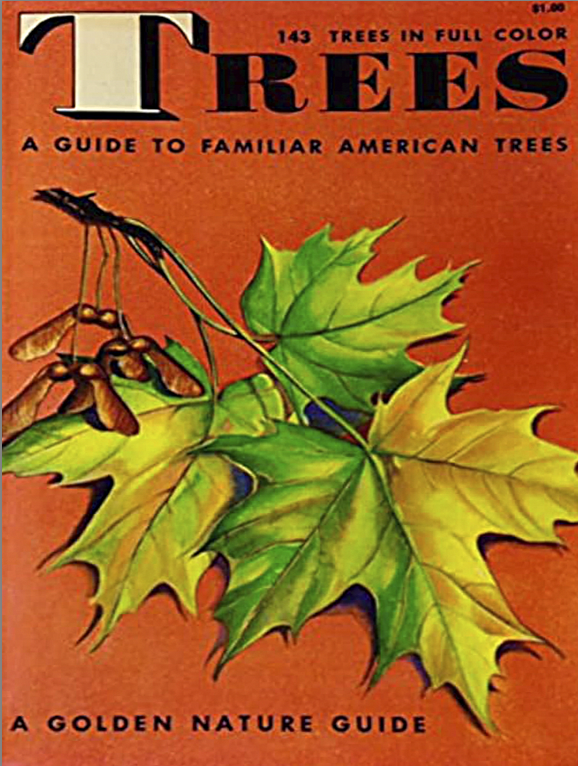 Screenshot 2026-02-19 at 12.13.30 PM.png