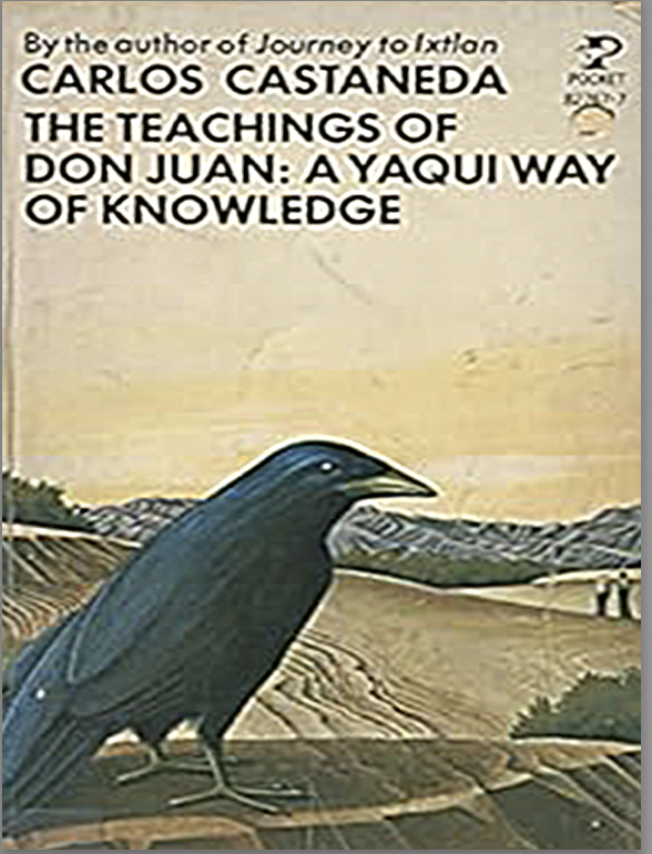 Screenshot 2026-02-19 at 12.19.39 PM.png