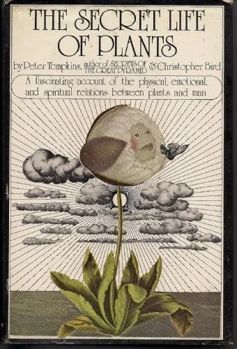 Secret Life 61En80ZR4QL.jpeg