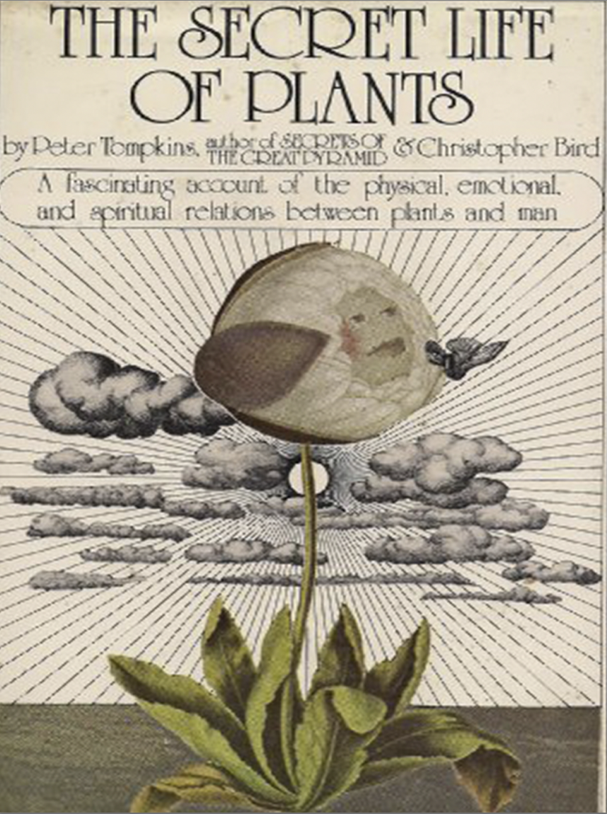 Screenshot 2026-02-19 at 4.24.34 PM.png