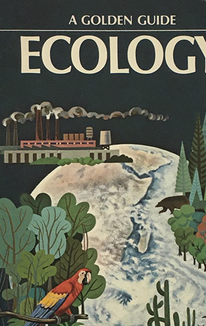 Screenshot 2026-02-19 at 4.35.38 PM.png