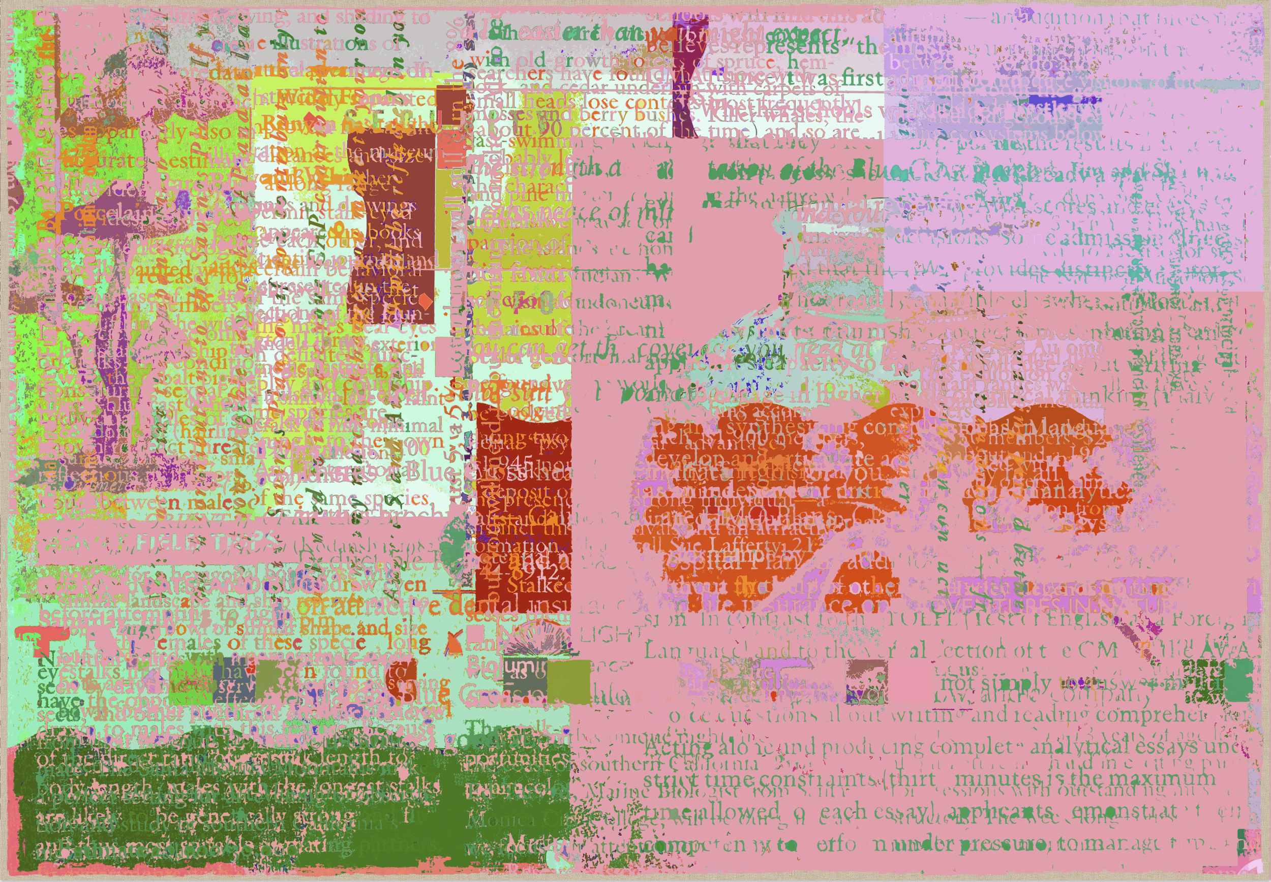 19.png