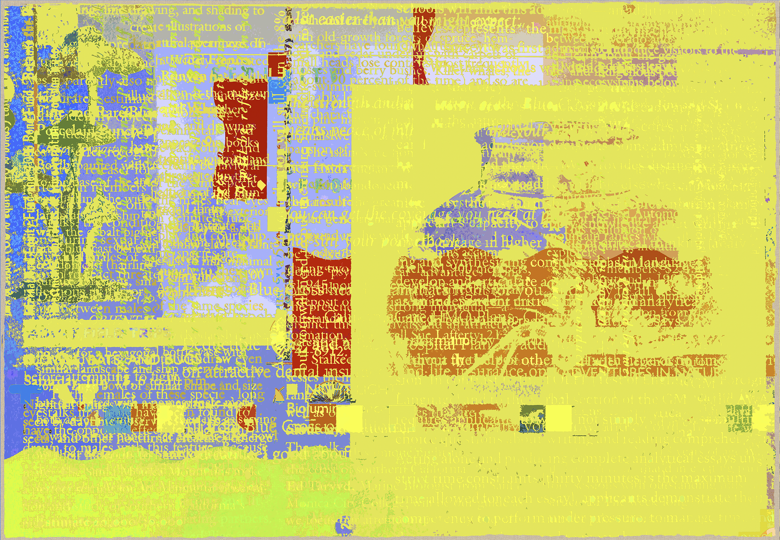 b.png