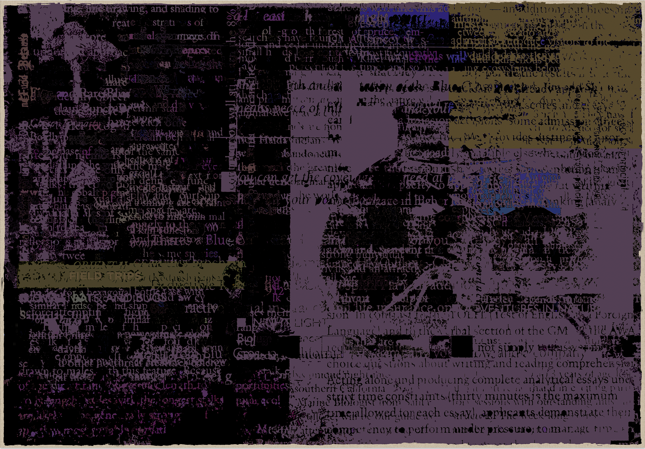 13.png